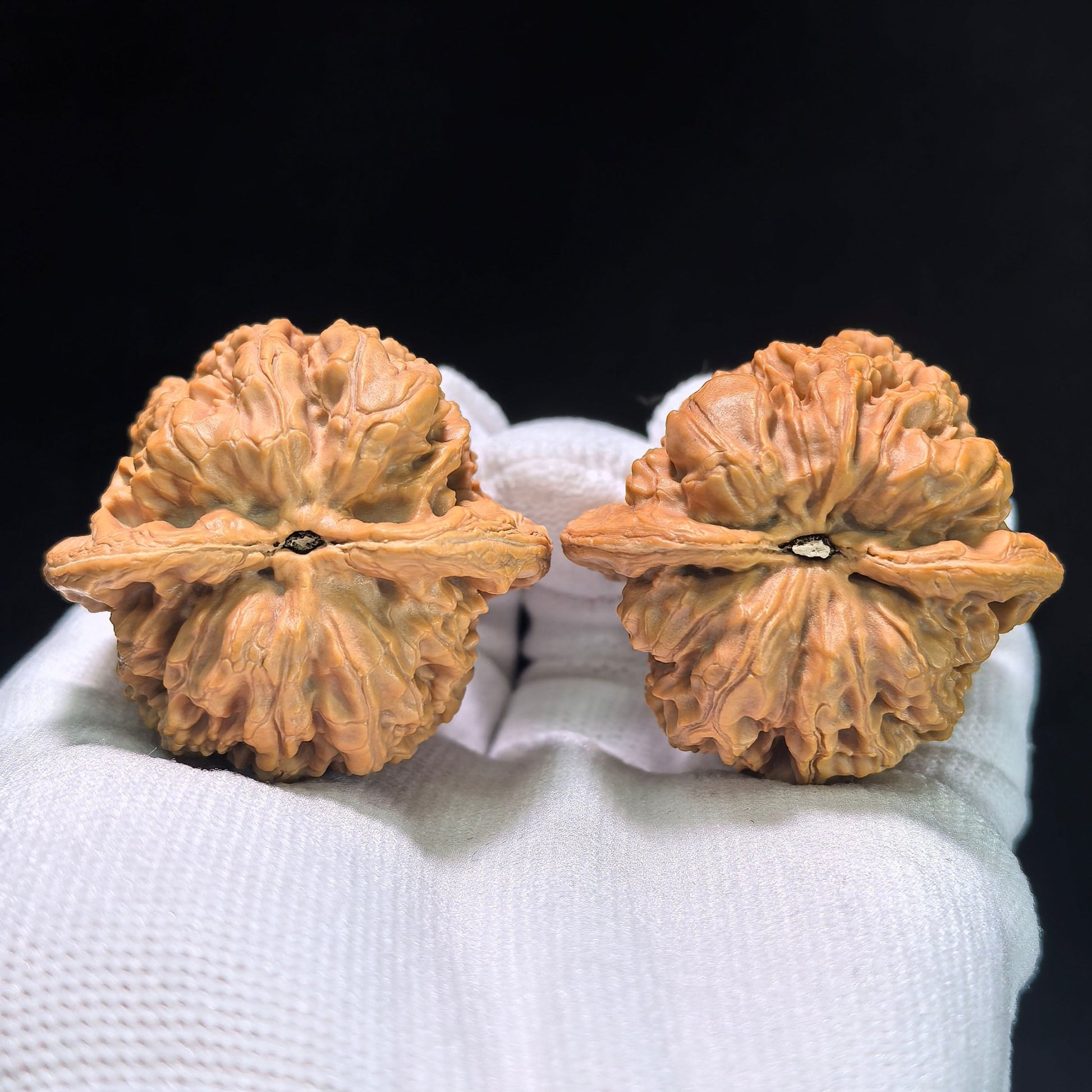 The "North China General's Shoulders" (Hua Bei Jiang Jun Pang) Pair | 43.0mm x 40.0mm | HBJJB-401 - ThePatinaProject