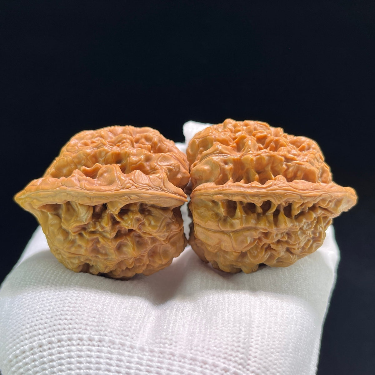 The "Official's Hat" (Da Guan Mao) Museum-Grade Ultra-Giant | 50.0mm x 41.0mm | DGM-802 - ThePatinaProject