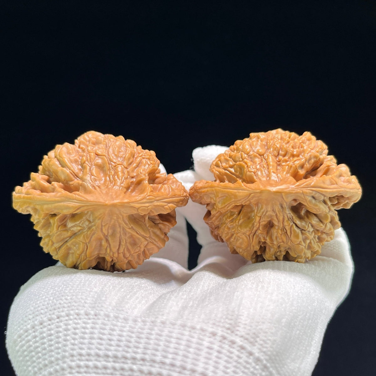 The "Official's Hat" (Da Guan Mao) Museum-Grade Ultra-Giant | 50.0mm x 41.0mm | DGM-802 - ThePatinaProject