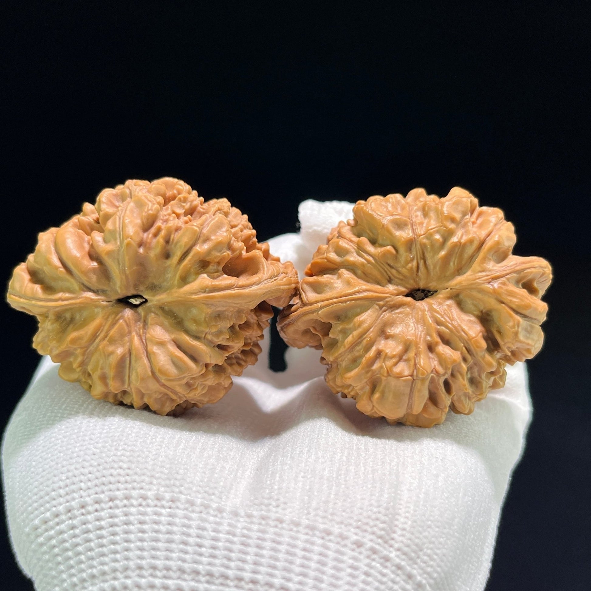 The "Official's Hat" (Da Guan Mao) Museum-Grade Ultra-Giant | 50.0mm x 41.0mm | DGM-802 - ThePatinaProject