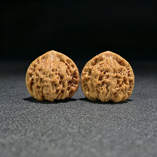The "Official's Hat" (Da Guan Mao) Museum-Grade Ultra-Giant | 50.0mm x 41.0mm | DGM-802 - ThePatinaProject
