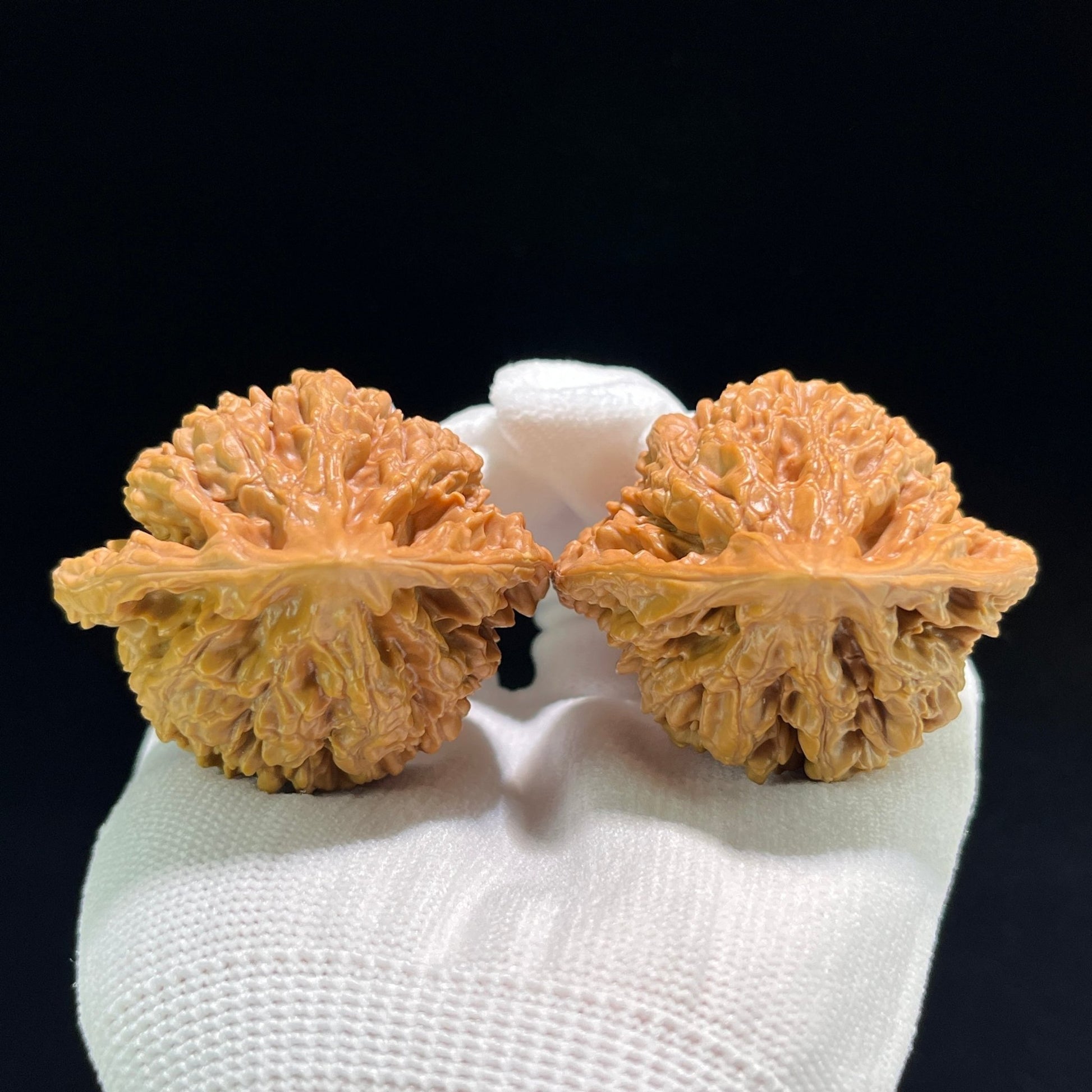 The "Official's Hat" (Da Guan Mao) Ultra-Giant Showpiece Pair | 49.0mm x 42.0mm | DGM-801 - ThePatinaProject