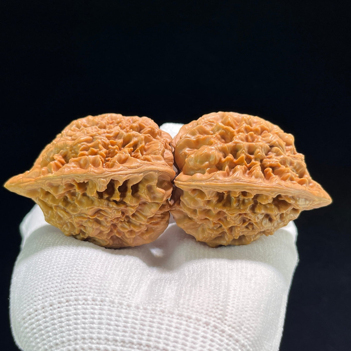 The "Official's Hat" (Da Guan Mao) Ultra-Giant Showpiece Pair | 49.0mm x 42.0mm | DGM-801 - ThePatinaProject