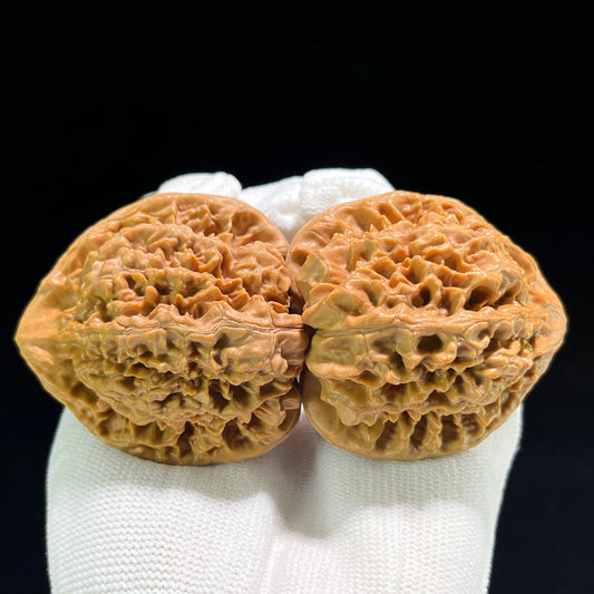 The "Official's Hat" (Da Guan Mao) Ultra-Giant Showpiece Pair | 49.0mm x 42.0mm | DGM-801 - ThePatinaProject