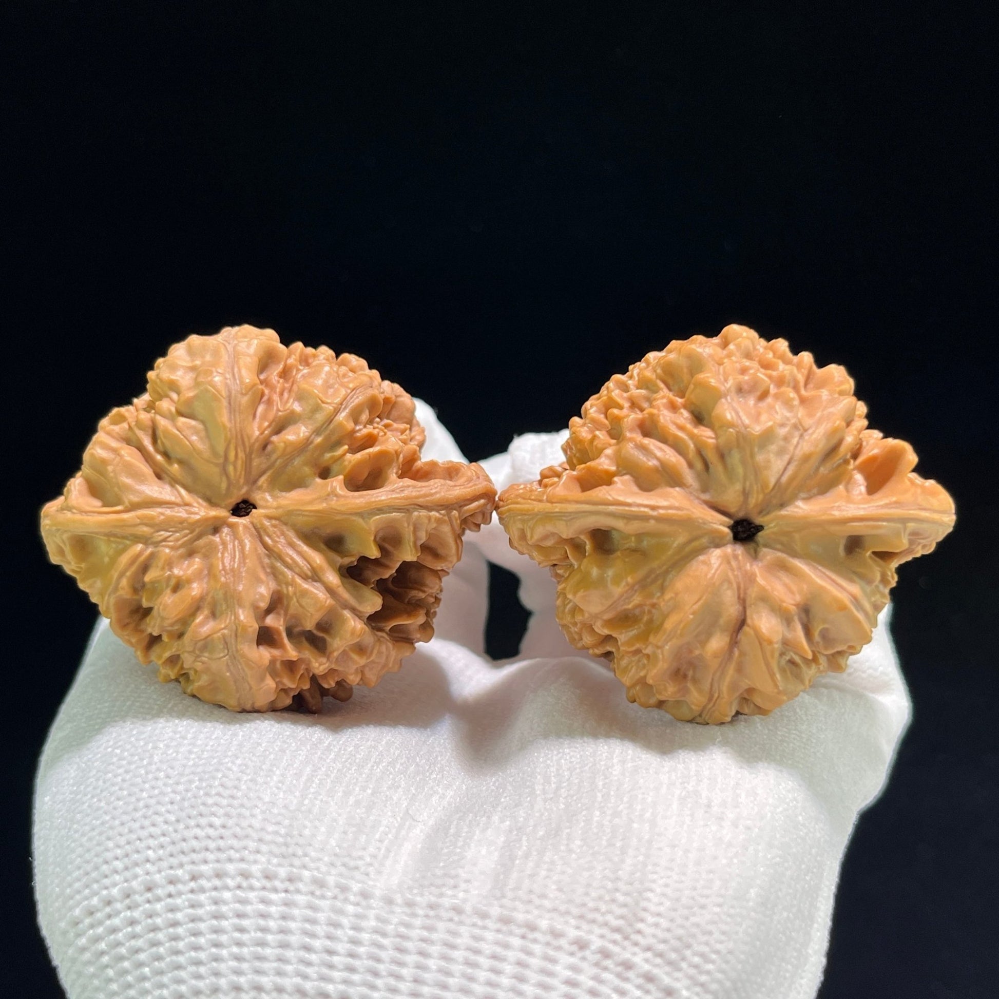 The "Official's Hat" (Da Guan Mao) Ultra-Giant Showpiece Pair | 49.0mm x 42.0mm | DGM-801 - ThePatinaProject