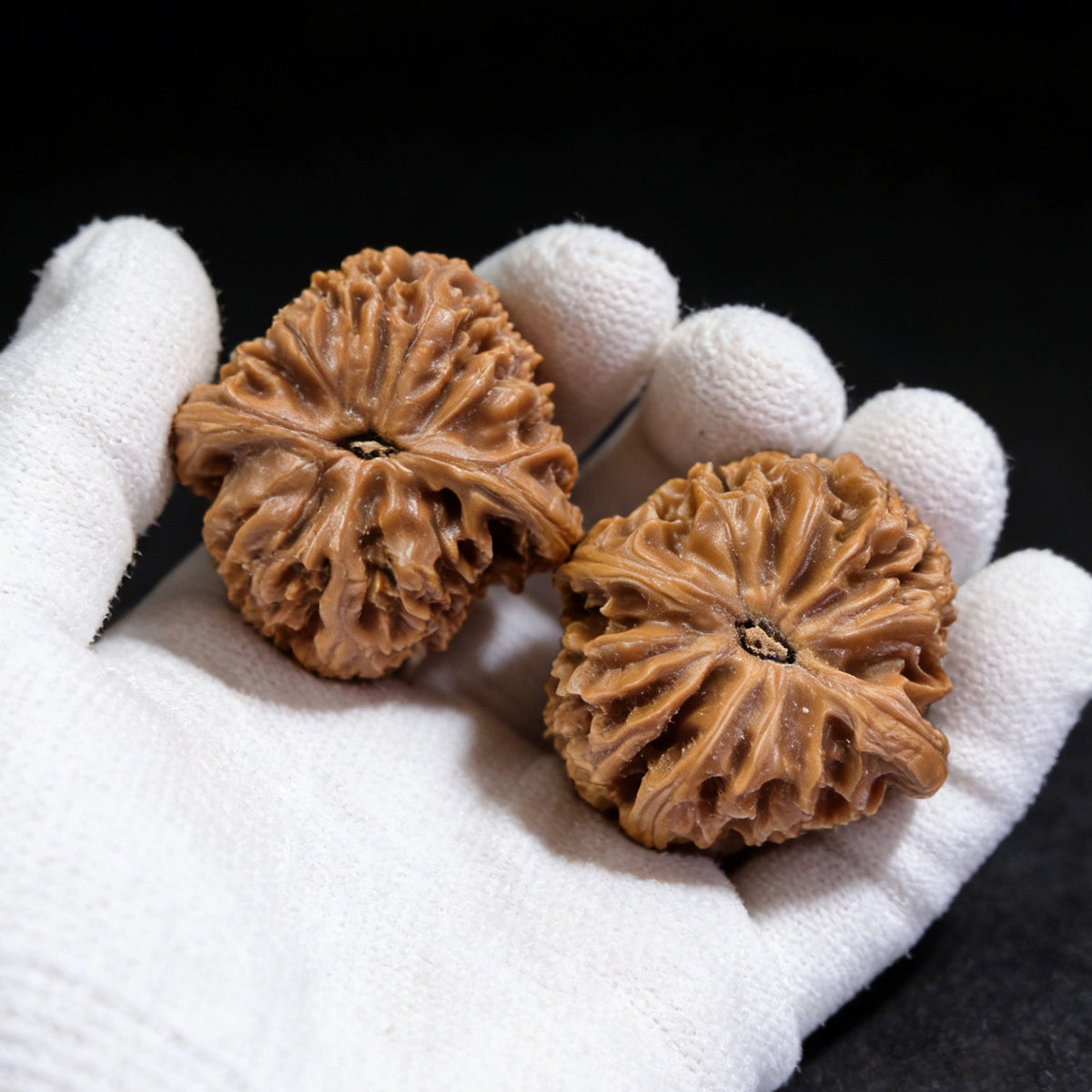 The "Old Tree Red Skin" Nan Jiang Shi Pair | 35.0mm x 35.0mm | NJS-503 - ThePatinaProject