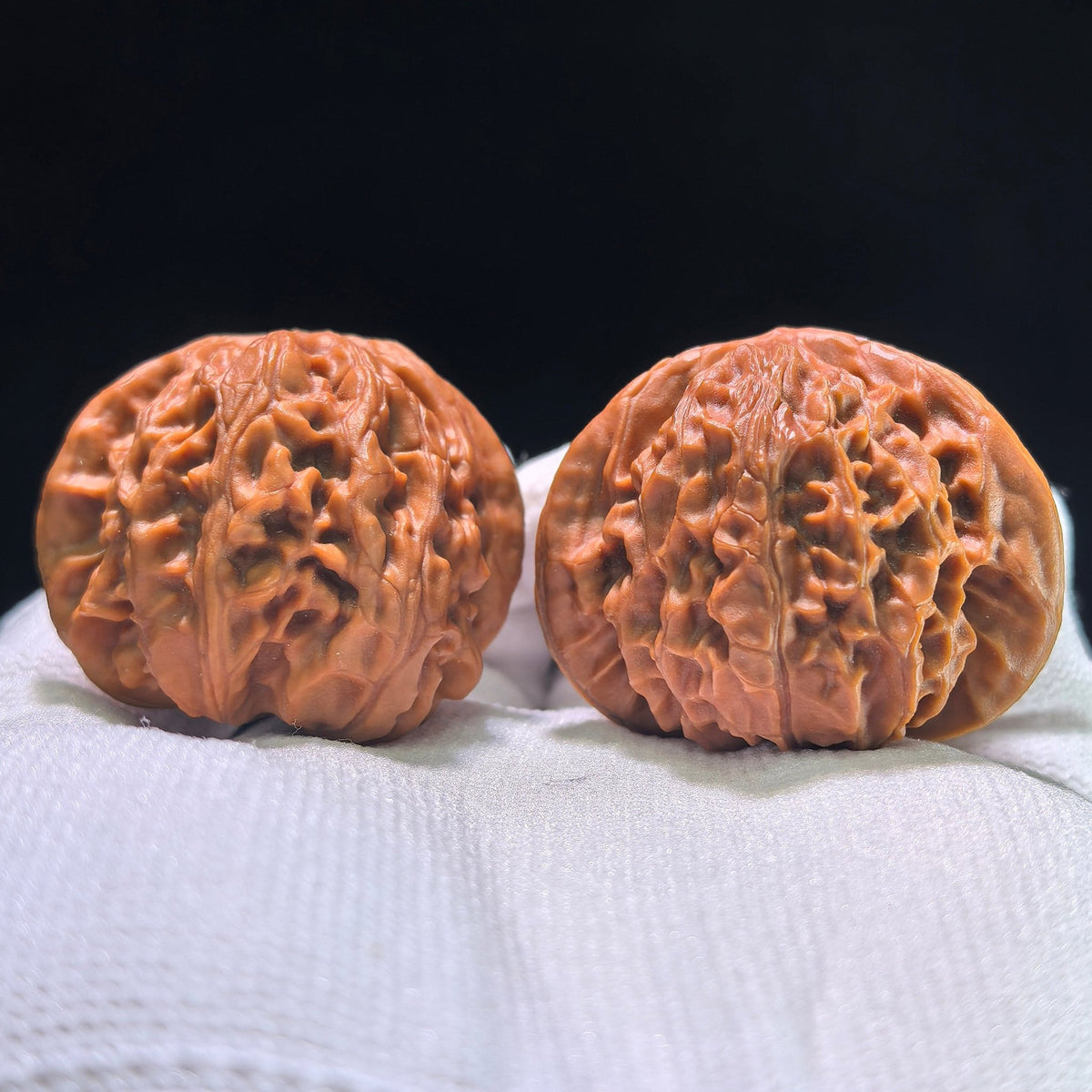 The "Palace Lantern Flying Snake" (Gong Deng Fei She) Investment-Grade Masterpiece | 40.0mm x 38.0mm | GDFS-1301E - ThePatinaProject