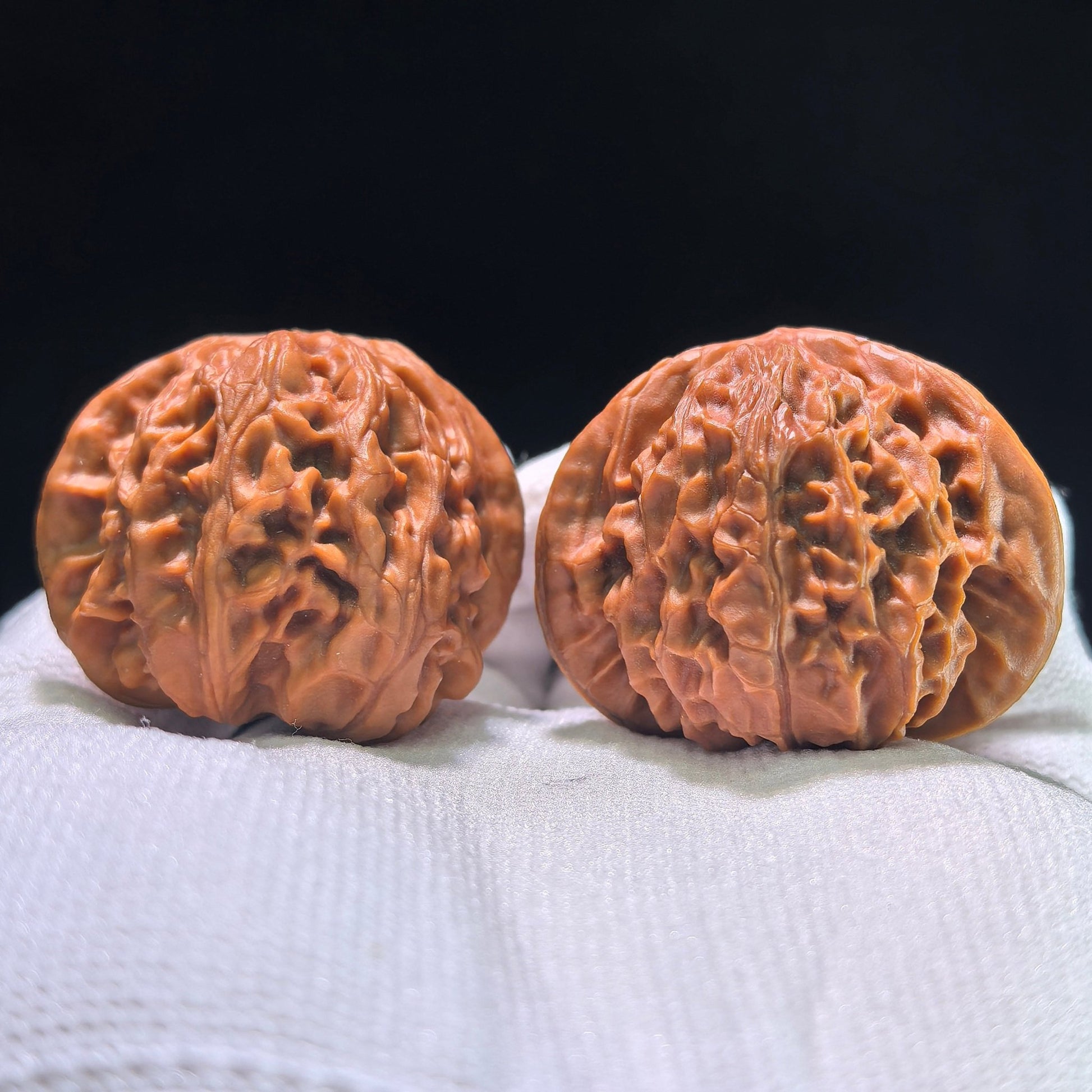 The "Palace Lantern Flying Snake" (Gong Deng Fei She) Investment-Grade Masterpiece | 40.0mm x 38.0mm | GDFS-1301E - ThePatinaProject