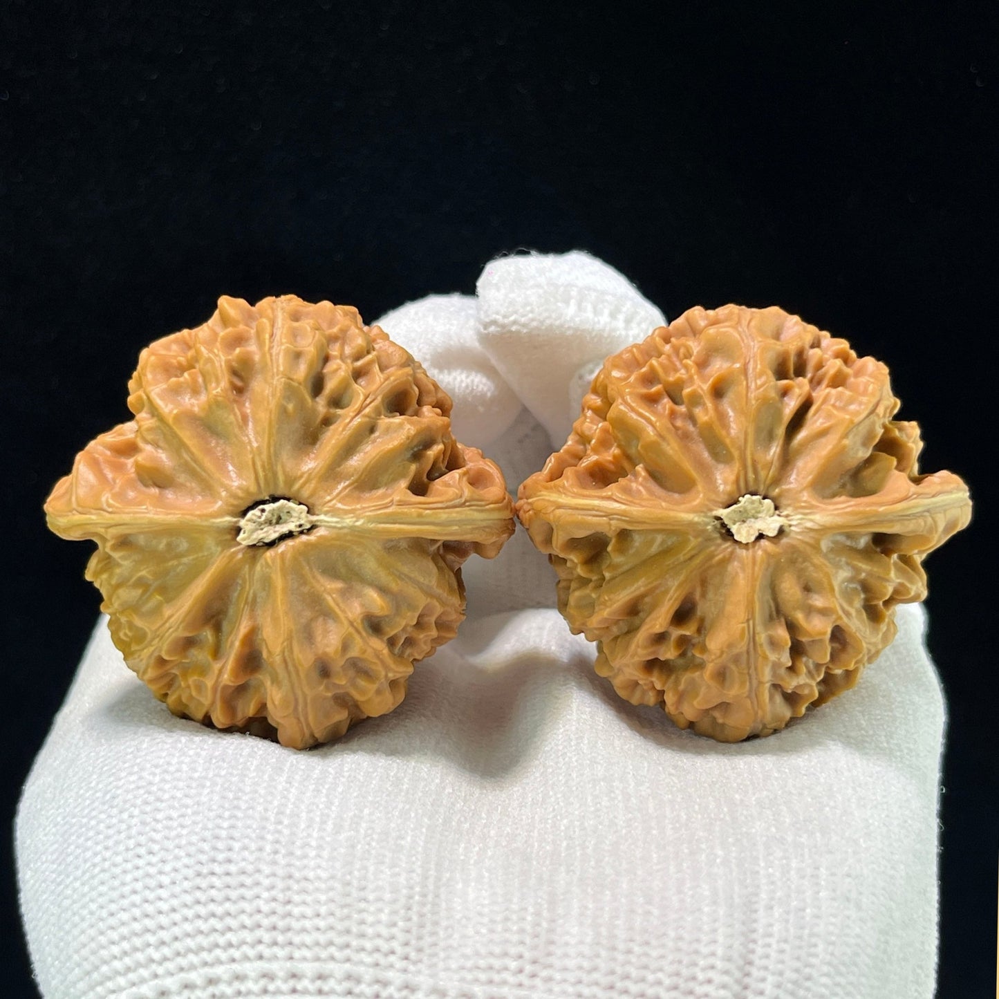 The "Palace Lantern" (Gong Deng) Balanced Wide-Belly Pair | 43.0mm x 42.0mm | GD-1002 - ThePatinaProject