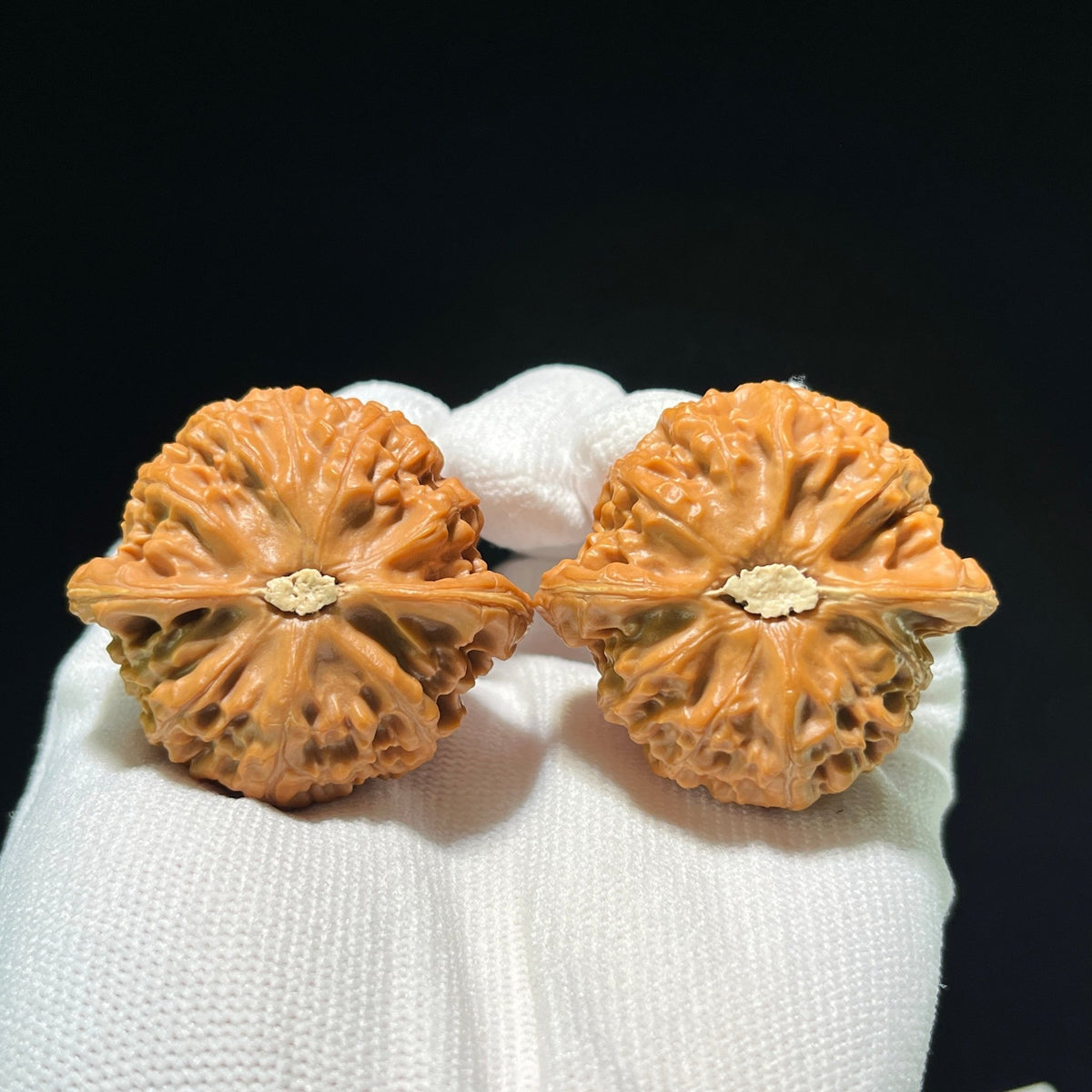 The "Palace Lantern" (Gong Deng) Pair | 44.0mm x 41.0mm | Boutique Grade | GD-1001C - ThePatinaProject