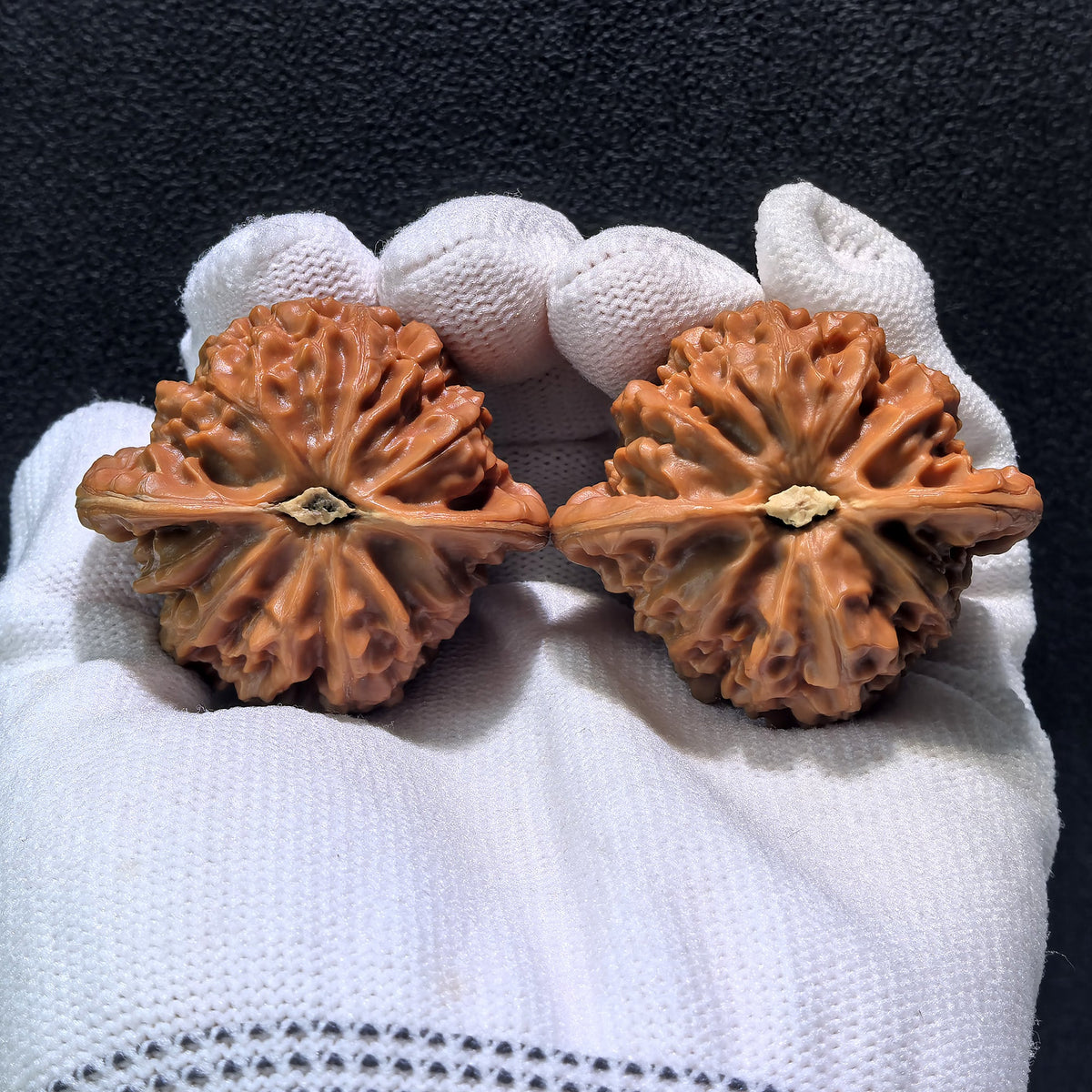 The "Palace Lantern" (Gong Deng) Pair | Boutique Grade | 43.0mm x 39.0mm x 37.0mm | GD-401C - ThePatinaProject