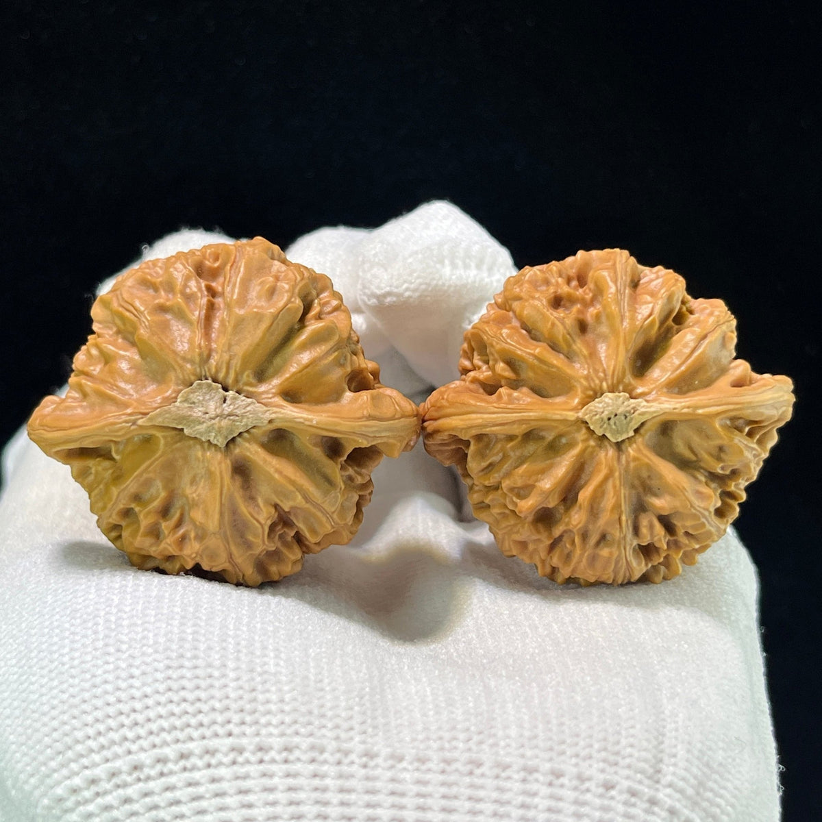 The "Palace Lantern" (Gong Deng) Traditional Symmetrical Lion Head Pair | 41.0mm x 38.0mm | GD-1001 - ThePatinaProject