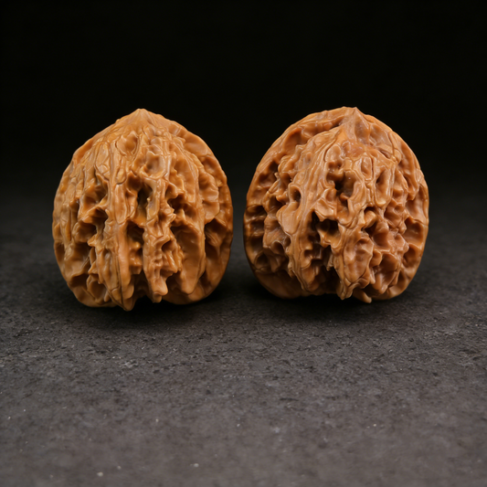 Walnut hand exerciser featuring lion head design from The Patina Project’s Apple Garden collection, 38mm round pair, #AG-11.