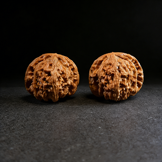 Walnut hand exerciser featuring a white lion design from The Patina Project's Grand White Lion collector's pair, 46mm size.