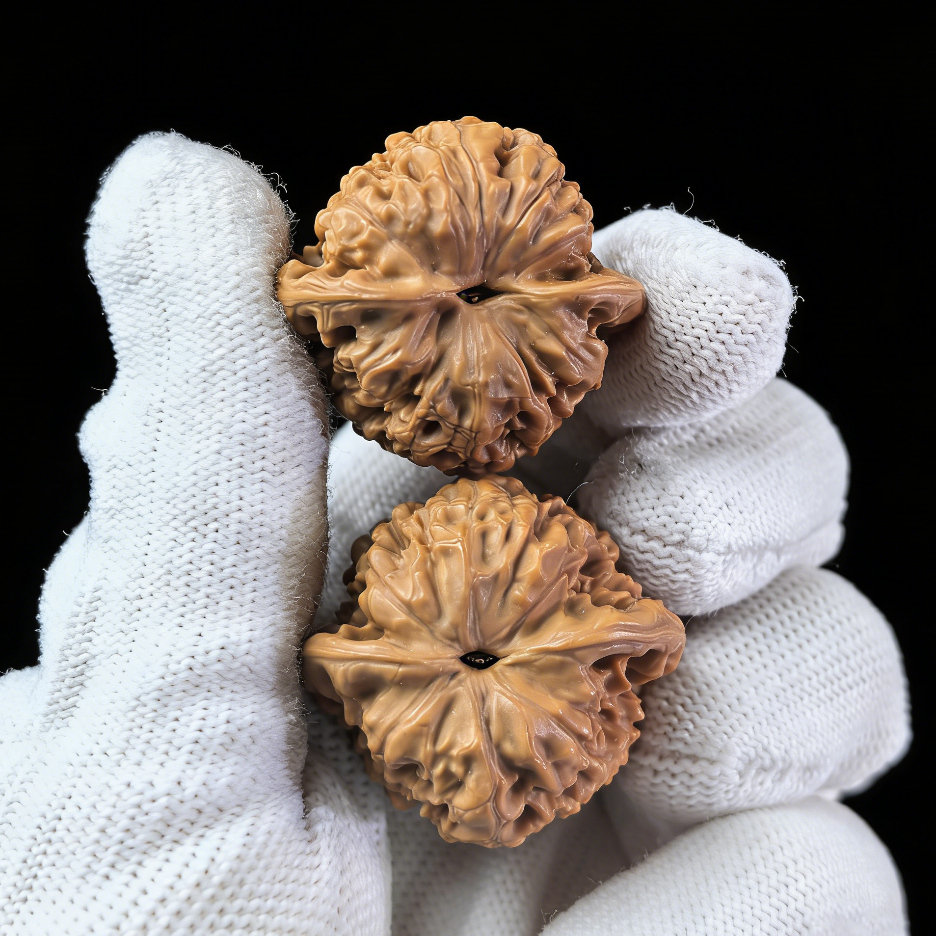 Walnut hand exerciser from The Patina Project's Imperial Pocket General micro-pair, 32mm collector’s gem for grip strengthening.