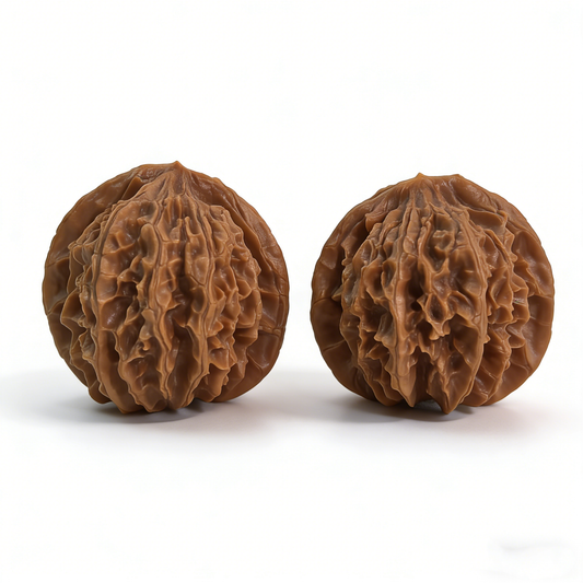 Pair of Walnut hand exercisers called Lantern by The Patina Project, featuring deep volcanic ridges and classic sphere design.