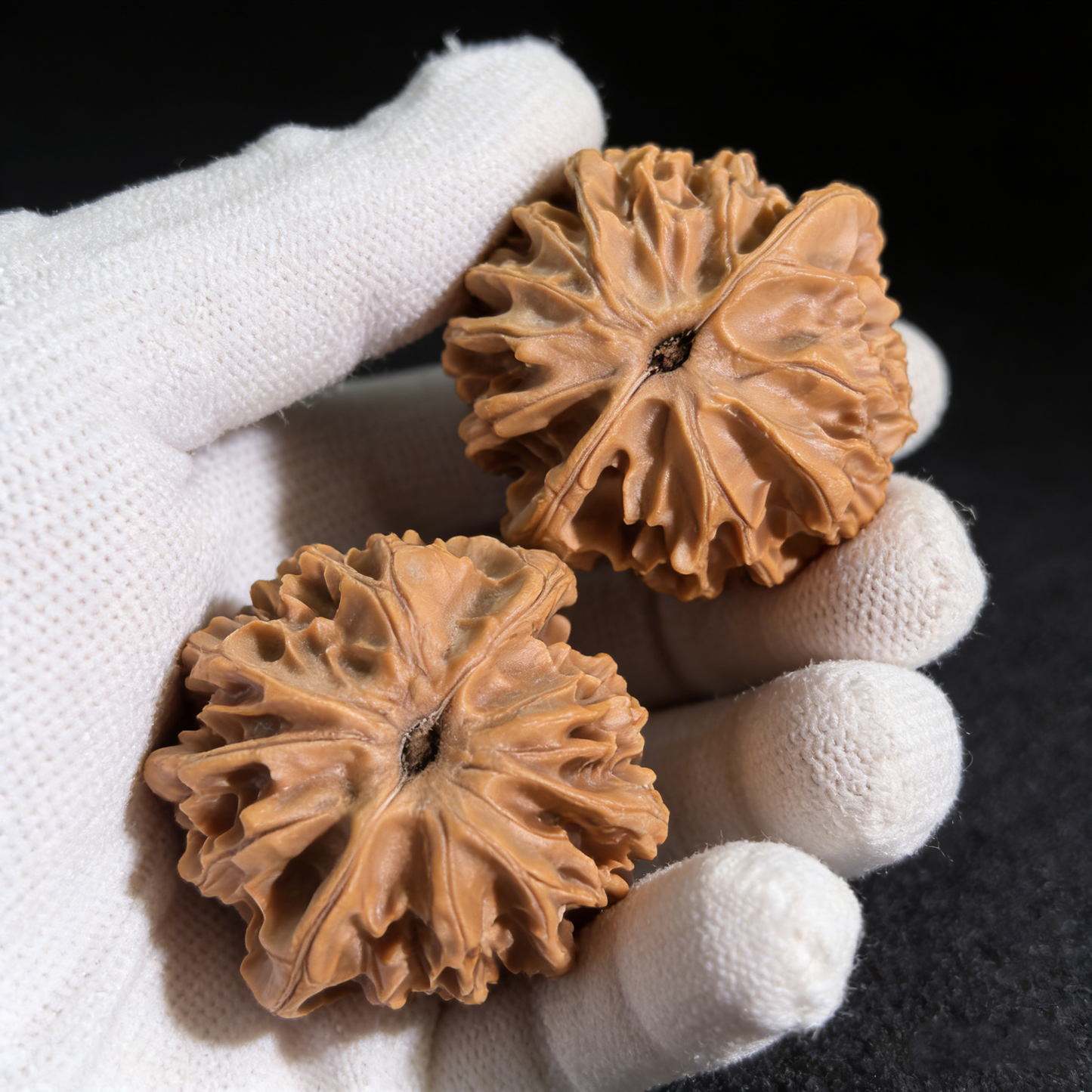 Walnut hand exercisers called Lantern with deep volcanic ridges and classic sphere design, 43mm collector’s pair by The Patina Project