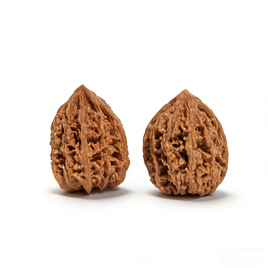 Walnut hand exercisers featuring Nine Dragon Sinews high-relief dragon bone texture, 35mm collector’s pair by The Patina Project.
