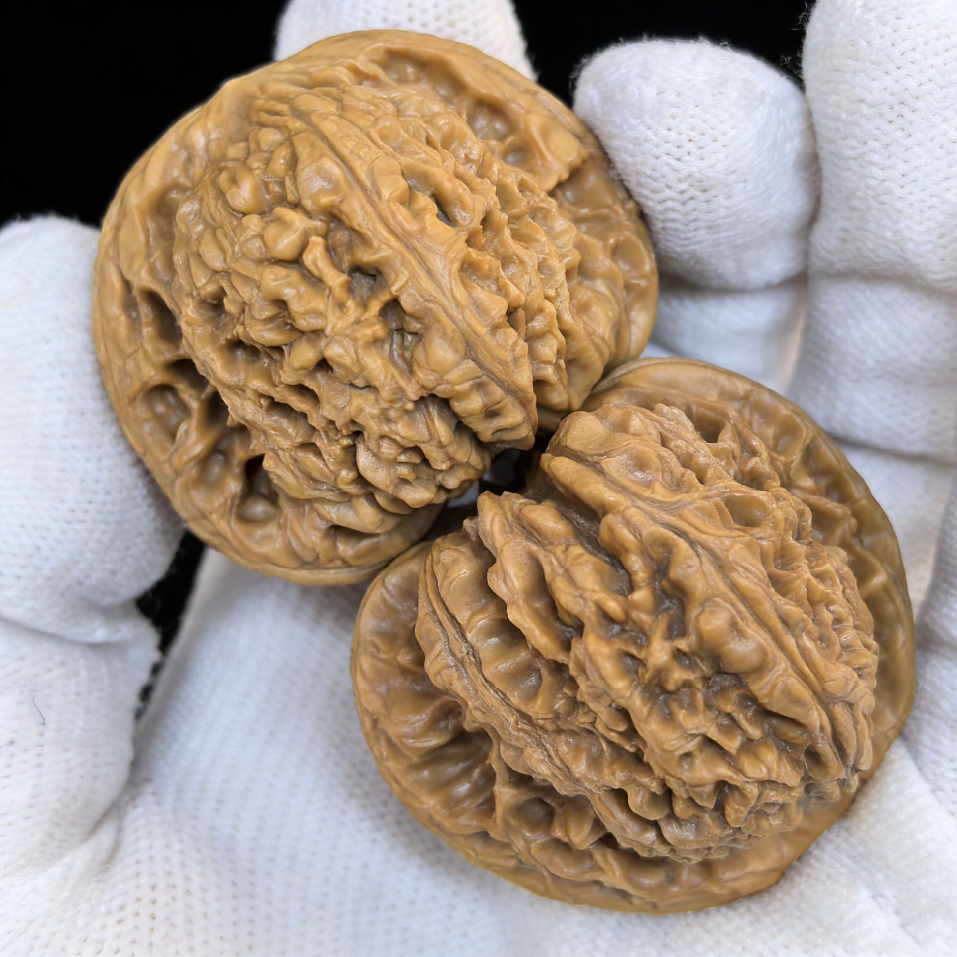 Walnut hand exerciser from The Patina Project, The Southern General (Nan Jiang Shi) 41mm iron-density pair, shown in image.