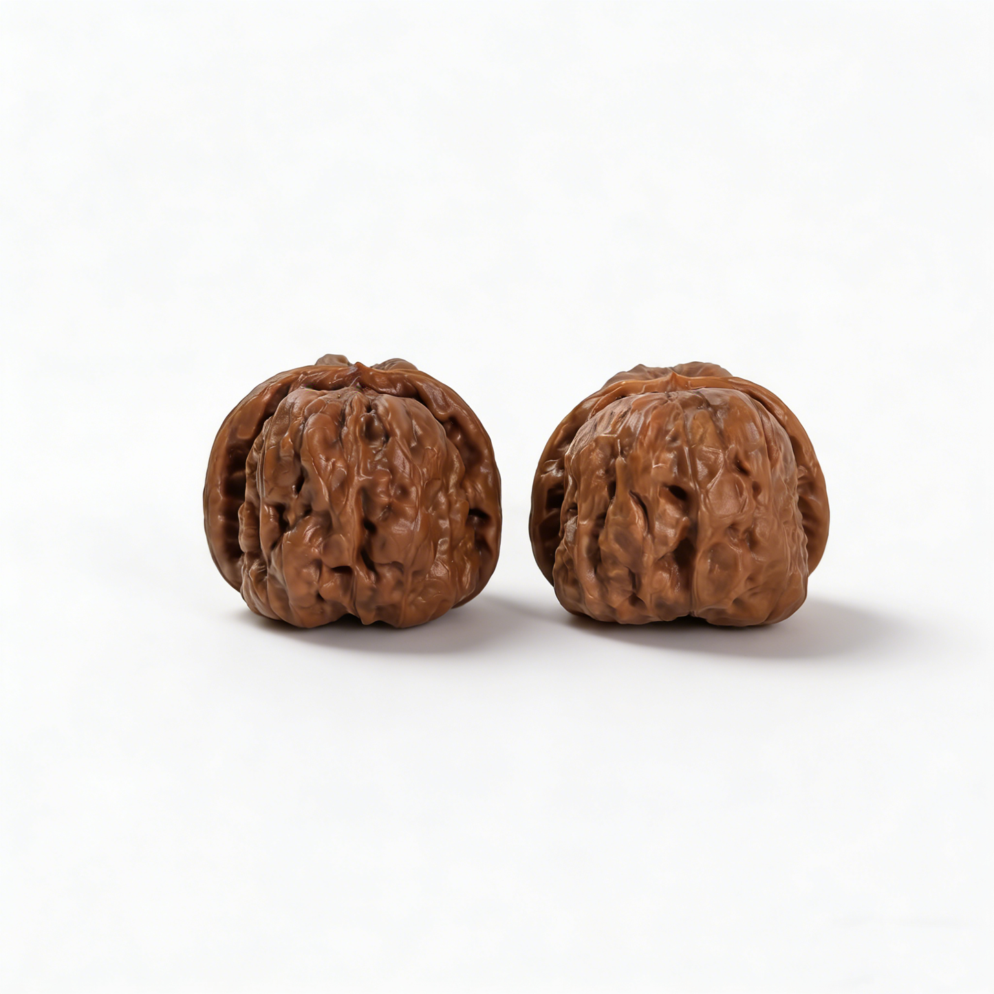 Walnut hand exerciser from The Patina Project's Toad Head collection, low-profile 36mm architecture, collector’s pair.