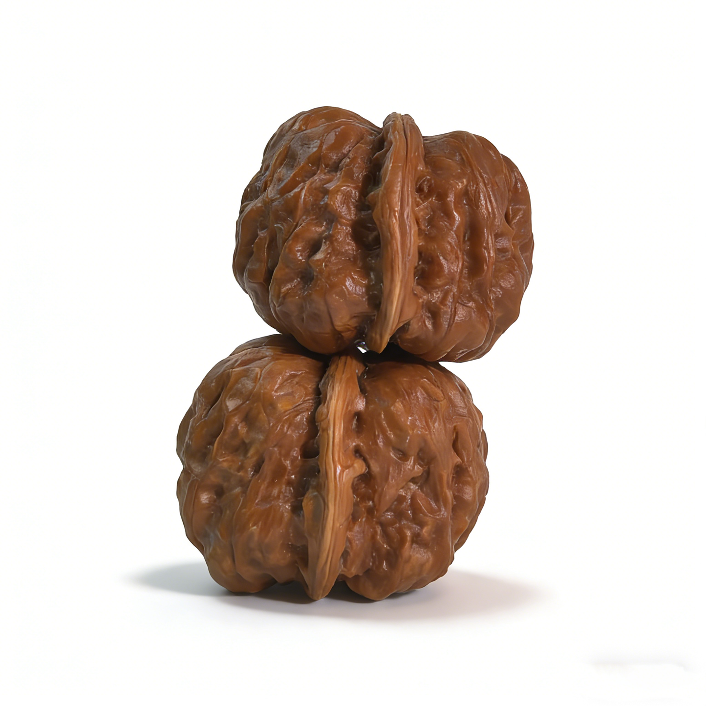 Pair of walnut hand exercisers called "Toad Head" by The Patina Project, featuring low-profile architecture and 36mm size.