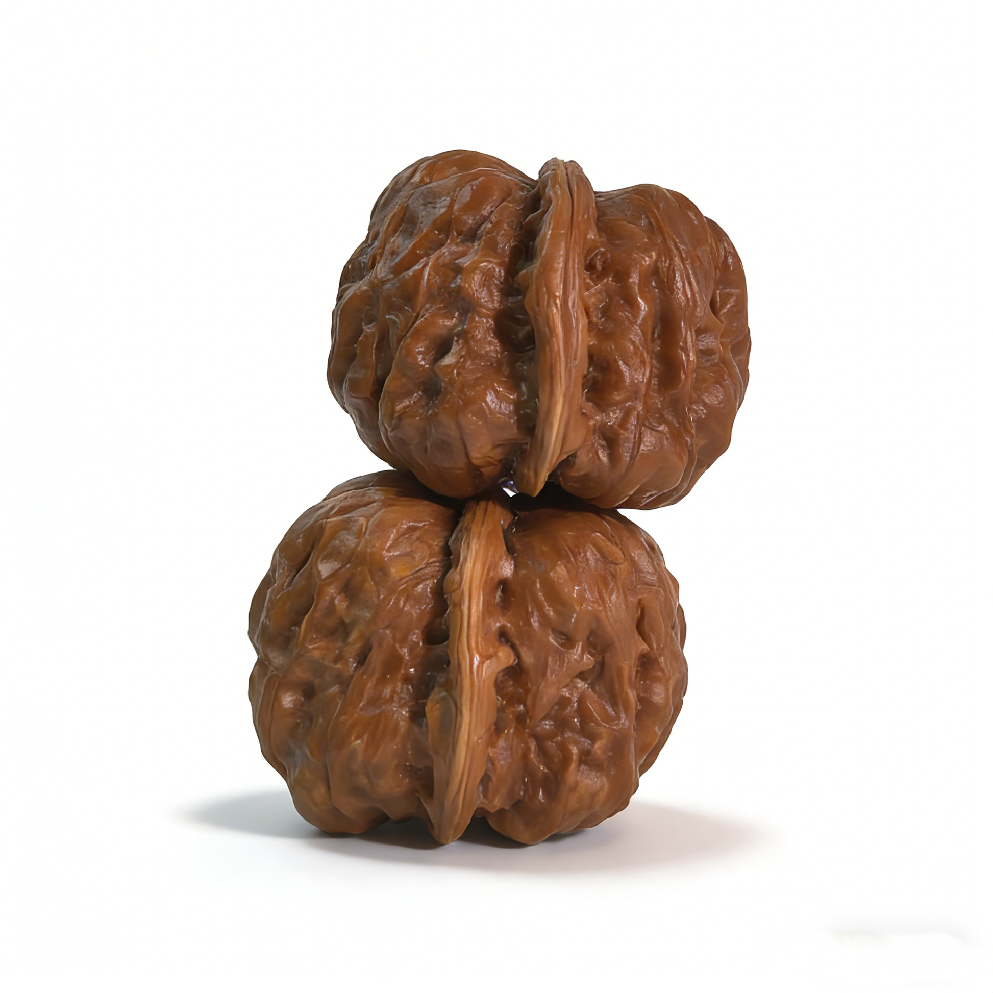 Pair of walnut hand exercisers called "Toad Head" by The Patina Project, featuring low-profile architecture and 36mm size.
