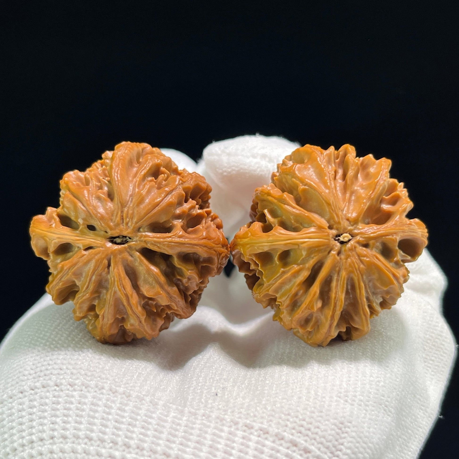The Perfectly Balanced "Coiling Dragon" (Pan Long Wen) Pair | 36.0mm x 36.0mm | PLW-706 - ThePatinaProject