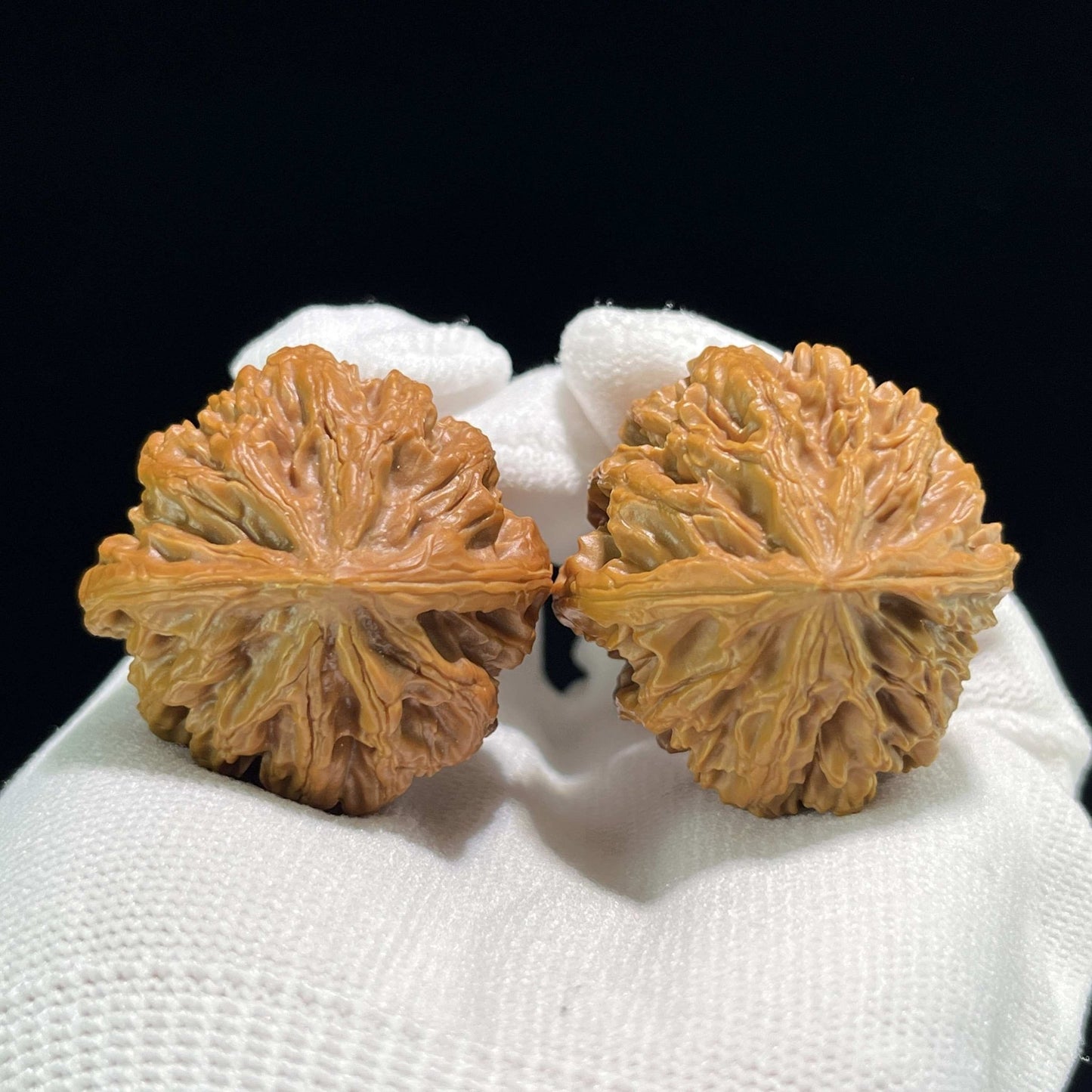 The Perfectly Balanced "Coiling Dragon" (Pan Long Wen) Pair | 36.0mm x 36.0mm | PLW-706 - ThePatinaProject