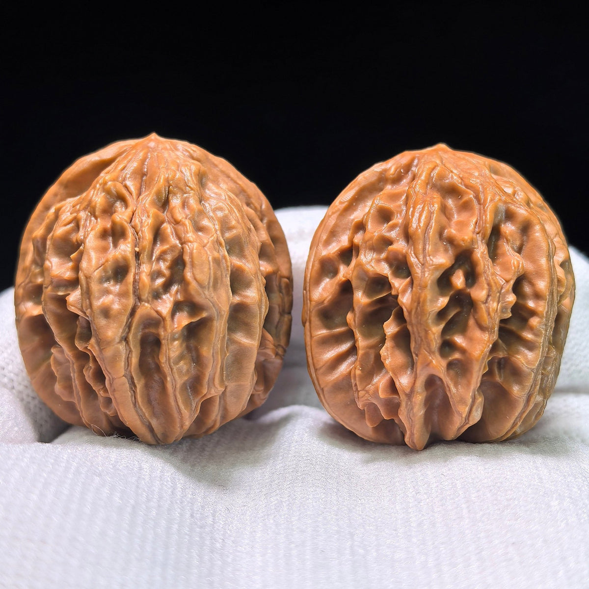 The Petit "Coiling Dragon" (Pan Long Wen) Full-Bellied Pair | 33.0mm x 35.0mm | PLW-705 - ThePatinaProject