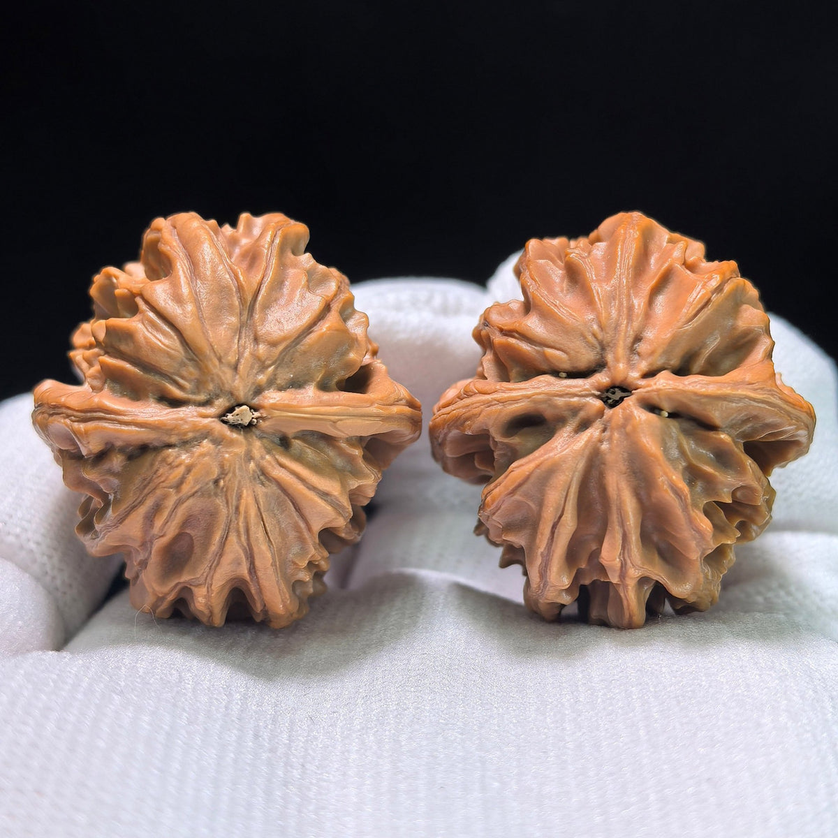 The Petit "Coiling Dragon" (Pan Long Wen) Full-Bellied Pair | 33.0mm x 35.0mm | PLW-705 - ThePatinaProject