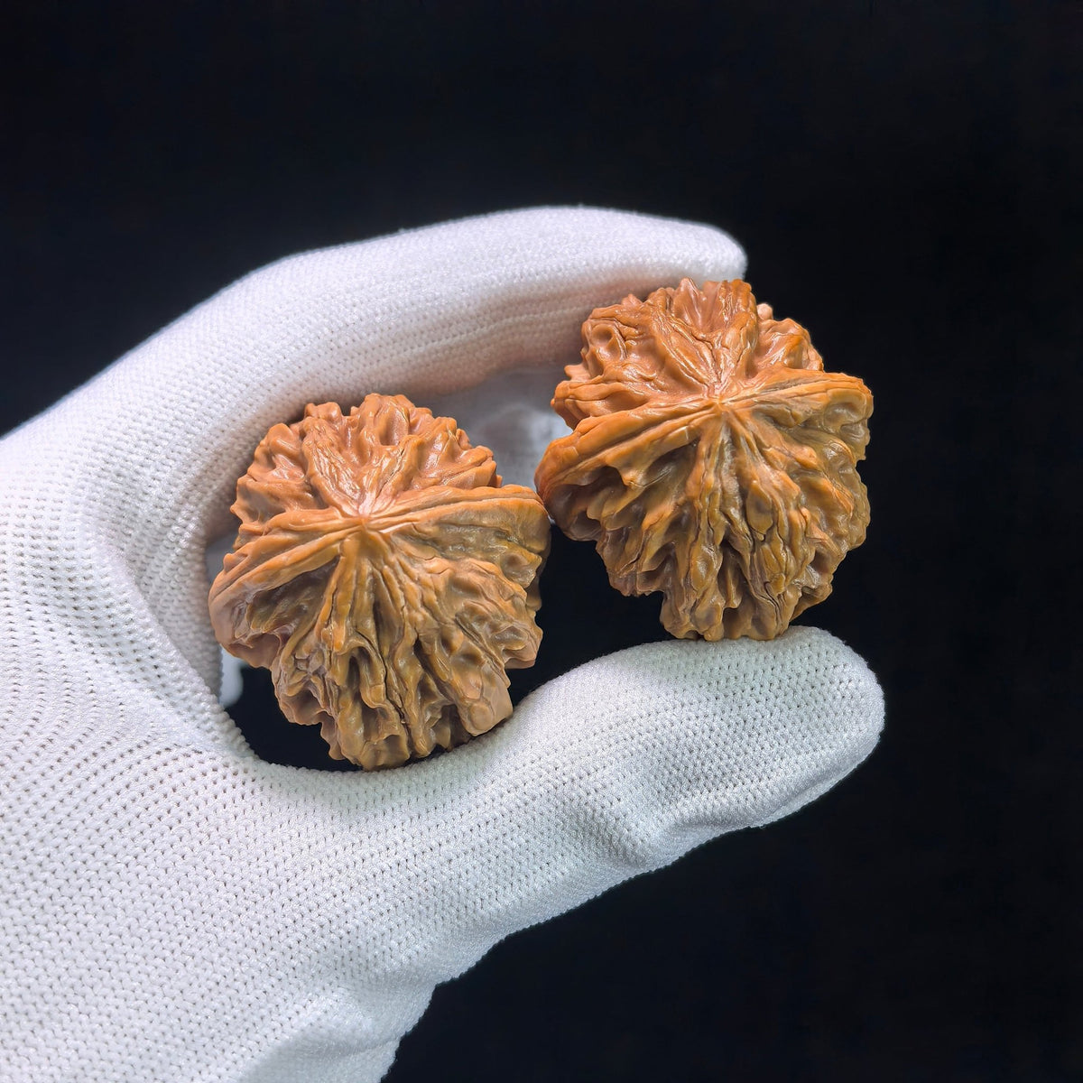The Petit "Coiling Dragon" (Pan Long Wen) Full-Bellied Pair | 33.0mm x 35.0mm | PLW-705 - ThePatinaProject