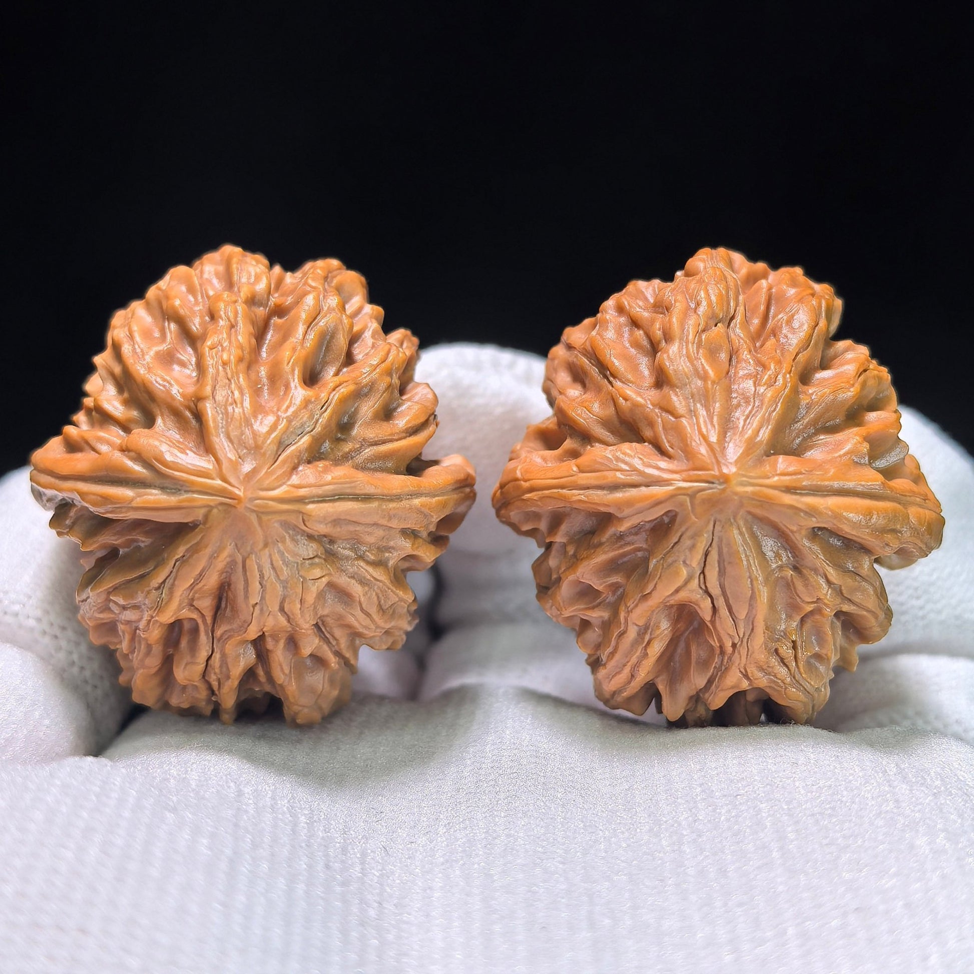 The Petit "Coiling Dragon" (Pan Long Wen) Full-Bellied Pair | 33.0mm x 35.0mm | PLW-705 - ThePatinaProject