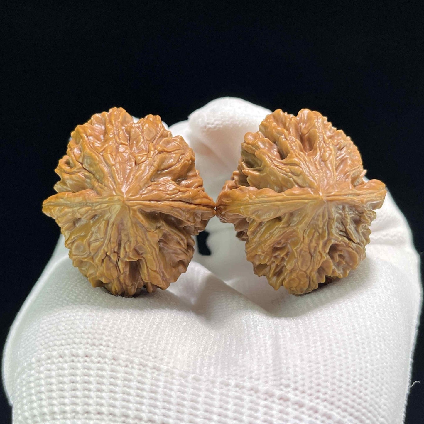 The Petit "Coiling Dragon" (Pan Long Wen) Full-Bellied Pair | 34.0mm x 36.0mm | PLW-707 - ThePatinaProject