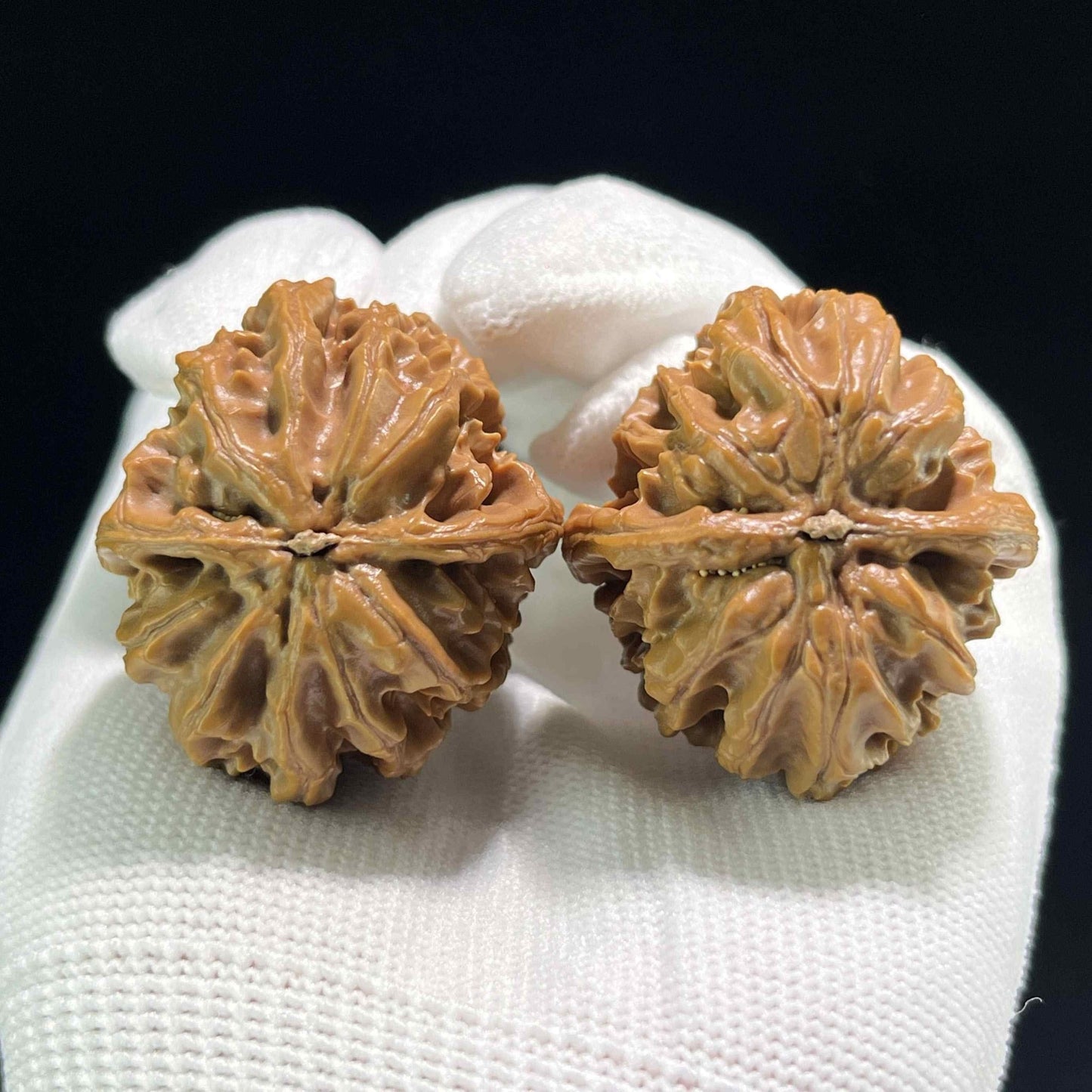 The Petit "Coiling Dragon" (Pan Long Wen) Full-Bellied Pair | 34.0mm x 36.0mm | PLW-707 - ThePatinaProject