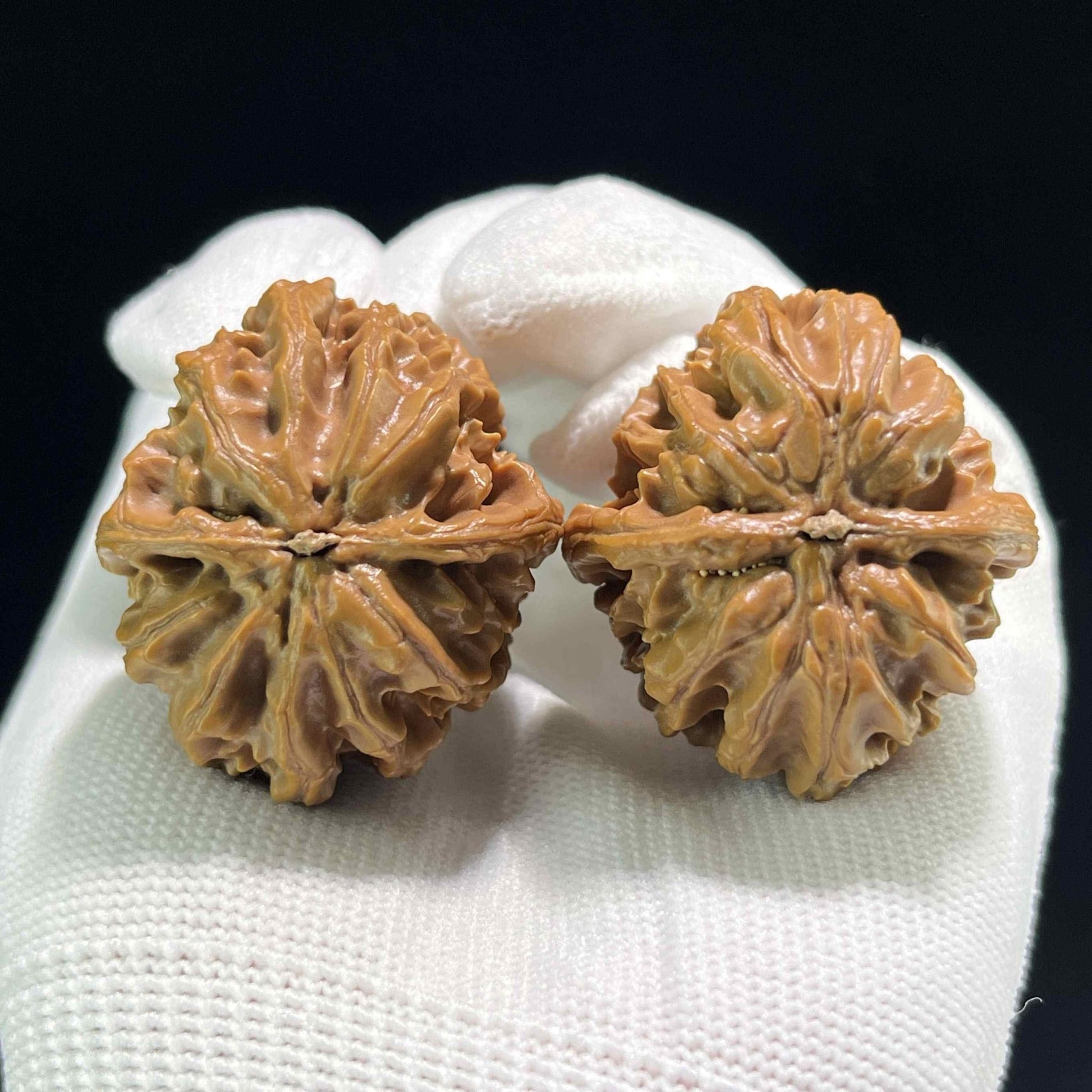 The Petit "Coiling Dragon" (Pan Long Wen) Full-Bellied Pair | 34.0mm x 36.0mm | PLW-707 - ThePatinaProject