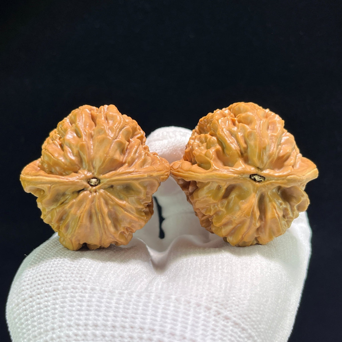 The "Phoenix Terrace" (Feng Huang Tai) Balanced 1:1 Pair | 41.0mm x 41.0mm | FHT-901 - ThePatinaProject