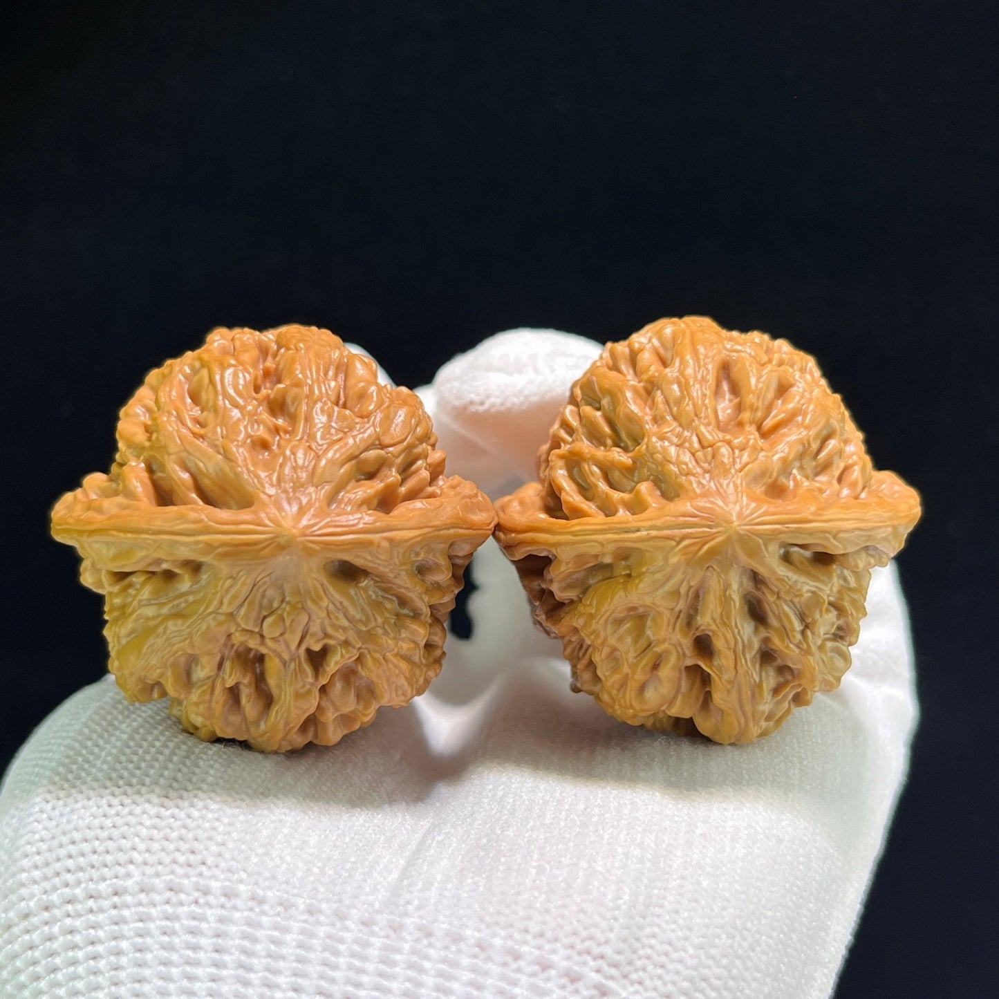The "Phoenix Terrace" (Feng Huang Tai) Balanced 1:1 Pair | 41.0mm x 41.0mm | FHT-901 - ThePatinaProject