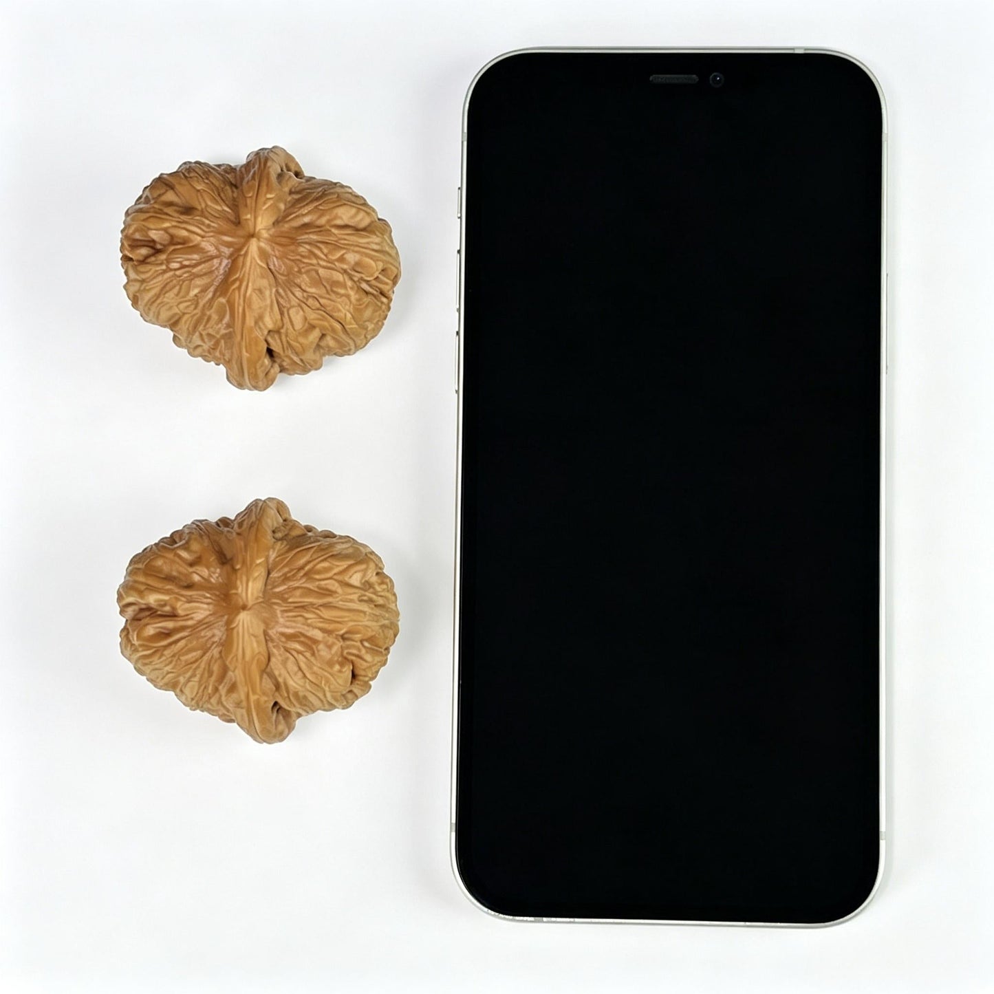 The "Pinggu Ingot" (Pinggu Yuan Bao) Collector-Grade Deep-Belly Pair | 41.0mm x 46.0mm | PGYB-1001 - ThePatinaProject