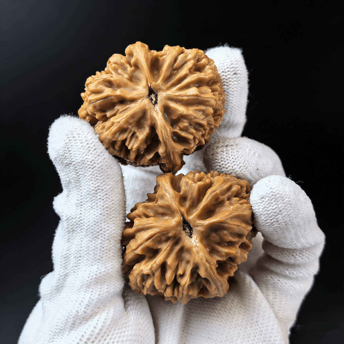 The "Pinggu Jin Zhong" (Golden Bell) Pair | 44.0mm | PGJZ-02 - ThePatinaProject