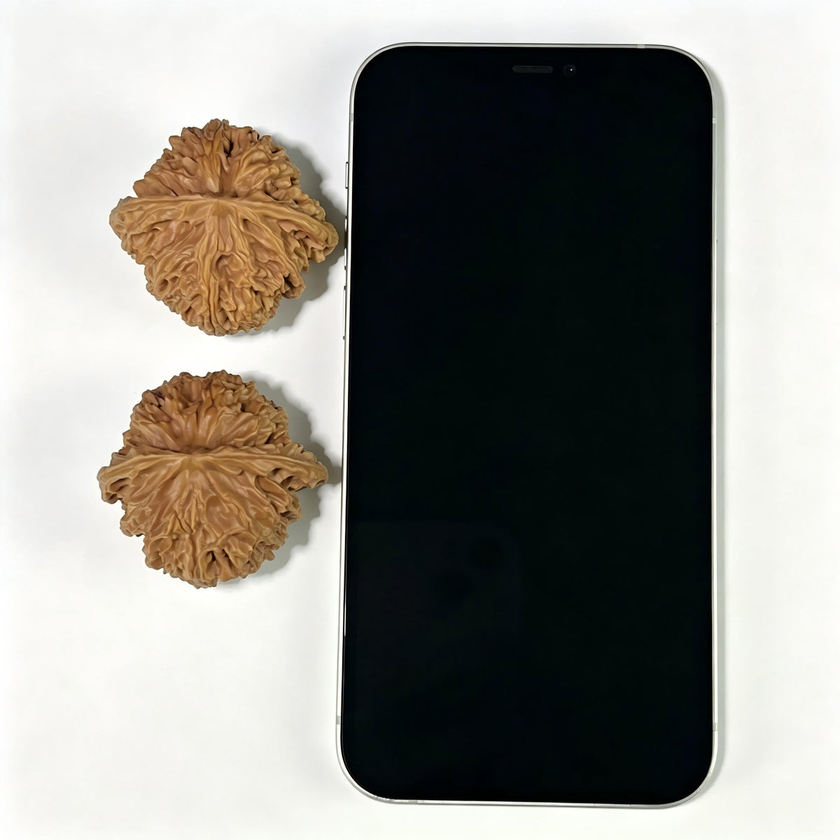 The "Pingguoyuan" (PGY) Apple Garden Classic Rounded Lion Head Pair | 42.0mm x 40.0mm | PGY-803 - ThePatinaProject