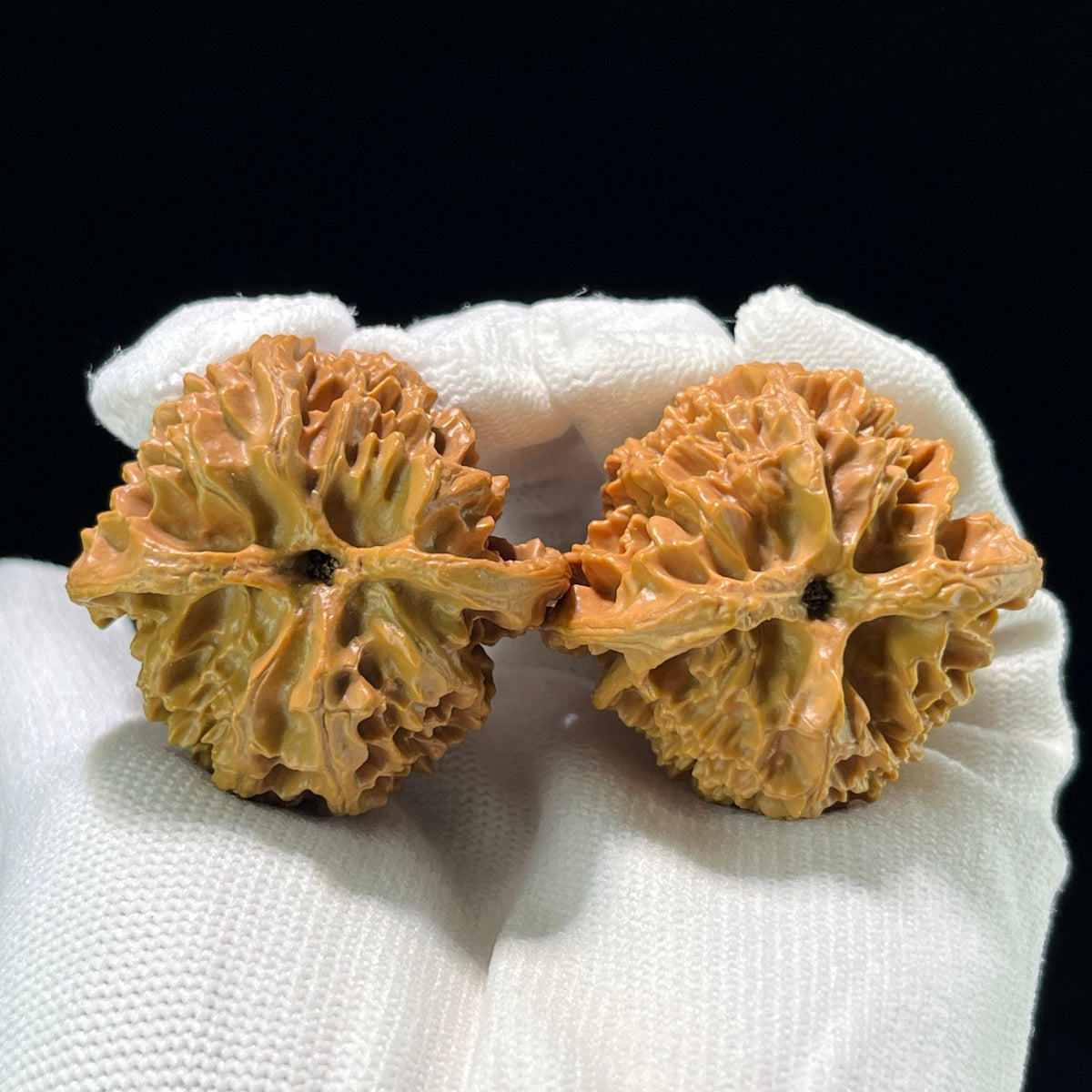 The "Pingguoyuan" (PGY) Apple Garden Classic Rounded Lion Head Pair | 42.0mm x 40.0mm | PGY-803 - ThePatinaProject
