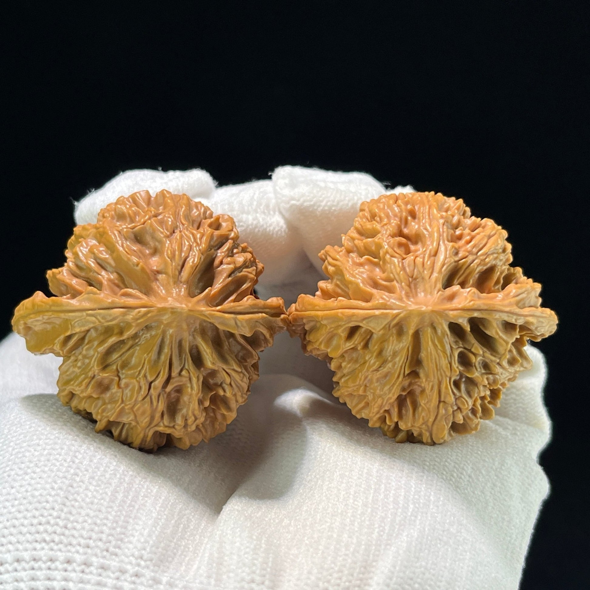 The "Pingguoyuan" (PGY) Apple Garden Classic Rounded Lion Head Pair | 42.0mm x 40.0mm | PGY-803 - ThePatinaProject