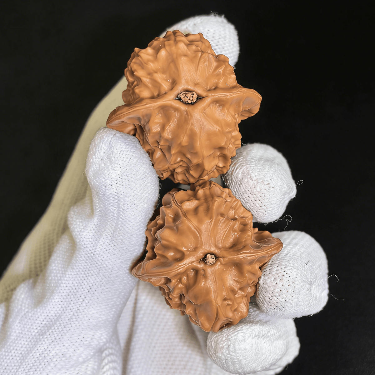 The "Porcelain Doll" (Chengde Official Seal) – Rare Micro-Grain Texture |35mm Collector’s Pair - ThePatinaProject