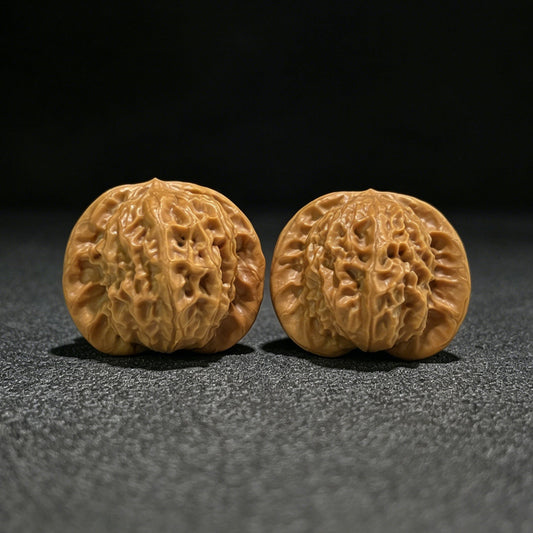 The "Porcelain Doll" (Ci Wa Wa) Ergonomic Robust Pair | 39.0mm x 37.0mm | CWW-803 - ThePatinaProject