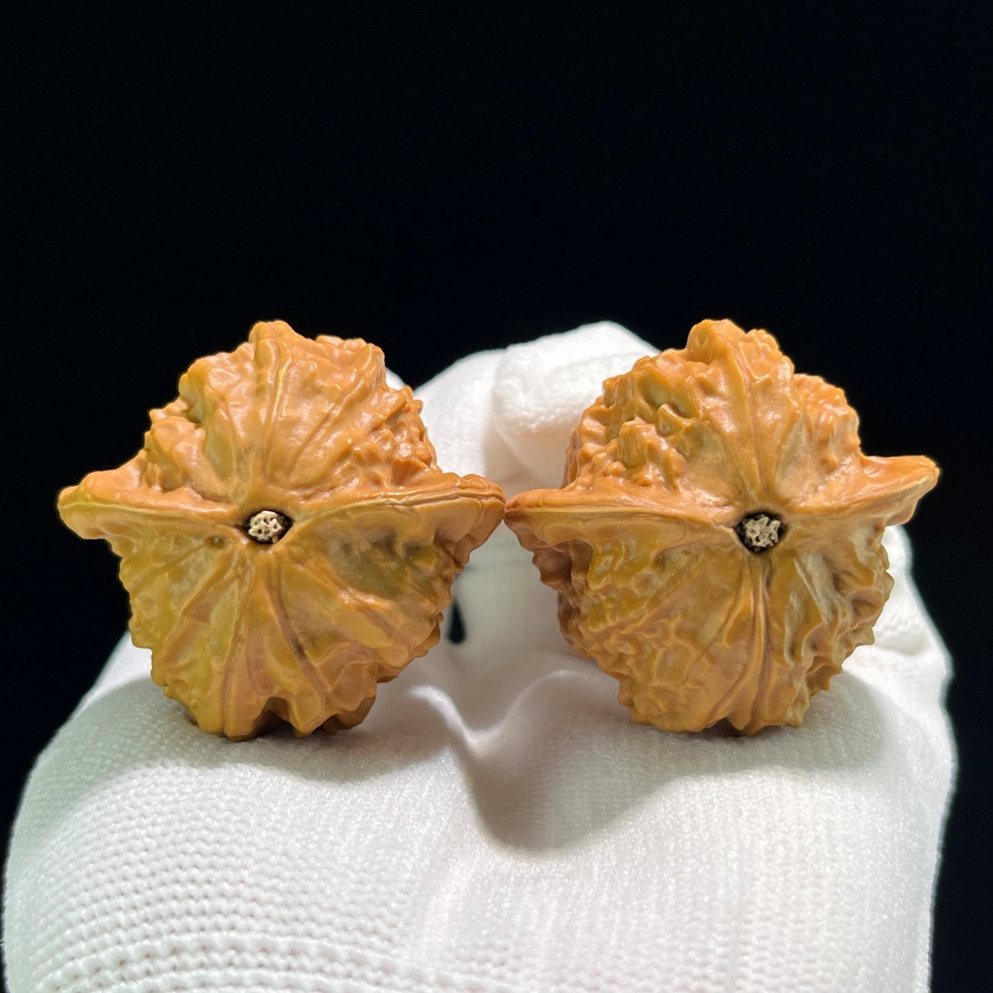 The "Porcelain Doll" (Ci Wa Wa) Ergonomic Robust Pair | 39.0mm x 37.0mm | CWW-803 - ThePatinaProject