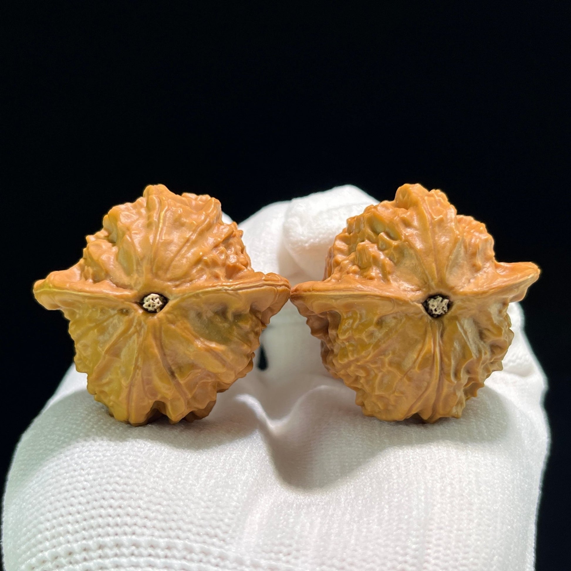 The "Porcelain Doll" (Ci Wa Wa) Ergonomic Robust Pair | 39.0mm x 37.0mm | CWW-803 - ThePatinaProject