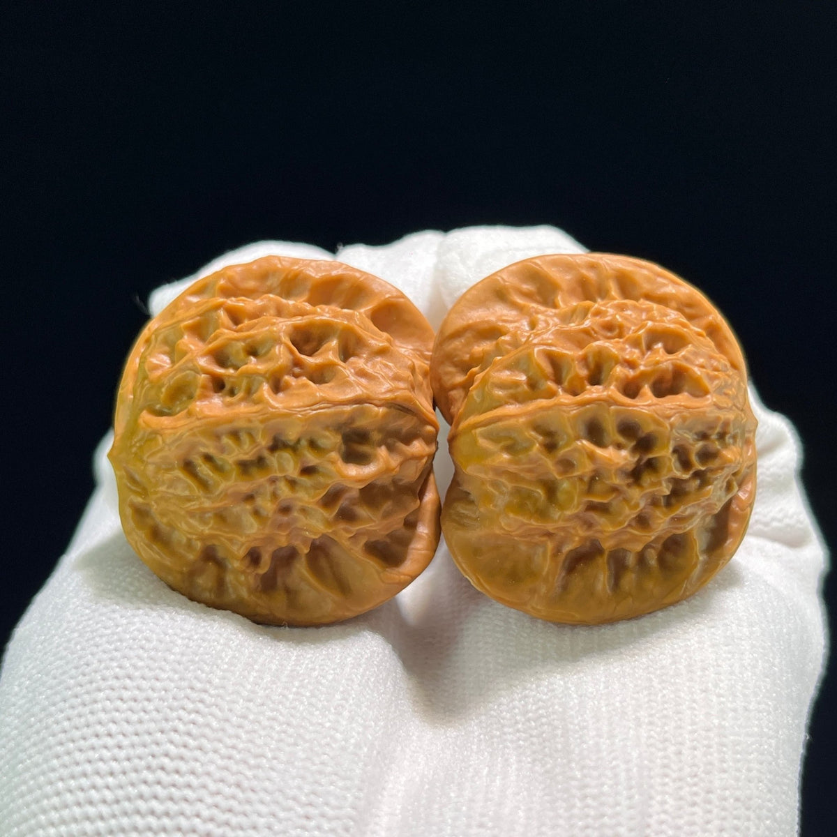 The "Porcelain Doll" (Ci Wa Wa) Ergonomic Robust Pair | 39.0mm x 37.0mm | CWW-803 - ThePatinaProject