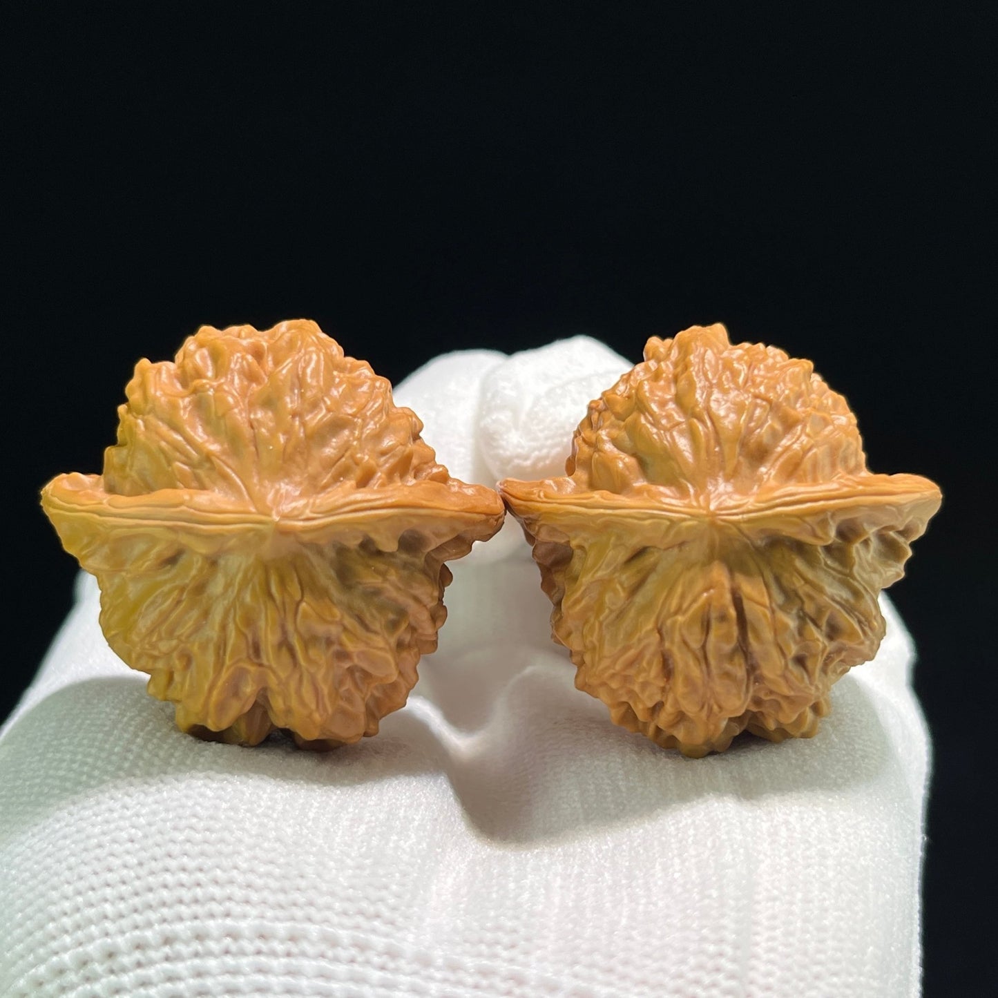 The "Porcelain Doll" (Ci Wa Wa) Ergonomic Robust Pair | 39.0mm x 37.0mm | CWW-803 - ThePatinaProject