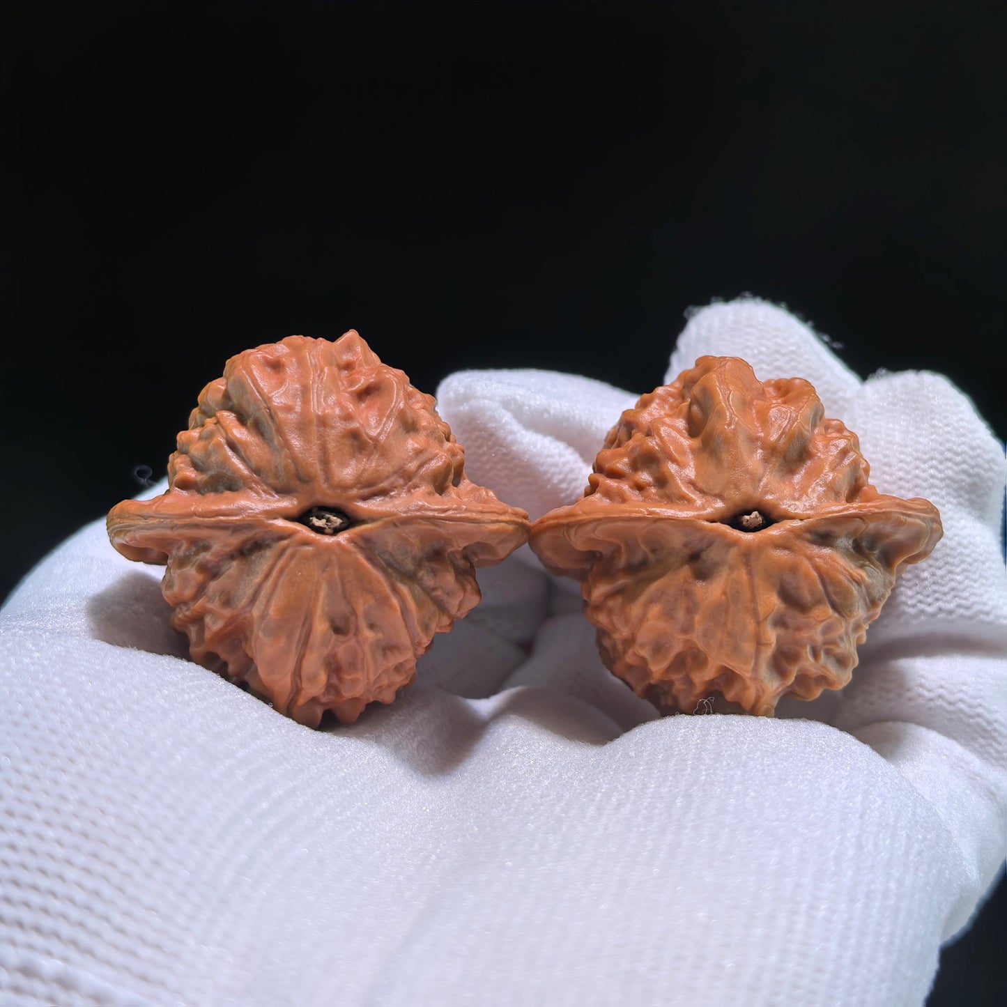 The "Porcelain Doll" Official Seal (Ci Wa Wa x Guan Yin) Pair | 35.0mm x 33.0mm | CWW-709 - ThePatinaProject