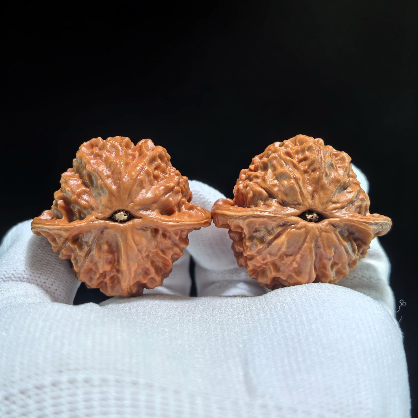 The "Porcelain Doll" Official Seal (Ci Wa Wa x Guan Yin) Pair | 42.0mm x 37.0mm | Boutique Grade | CWW-708 - ThePatinaProject